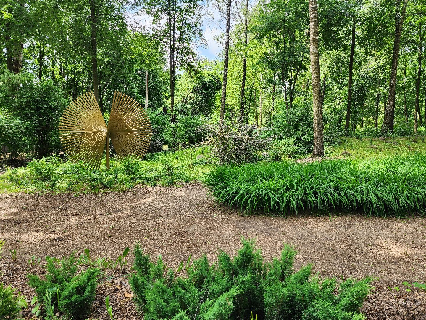 благоустройство, всероссийское голосование, парк волхонка, ногинск, богородский городской округ,