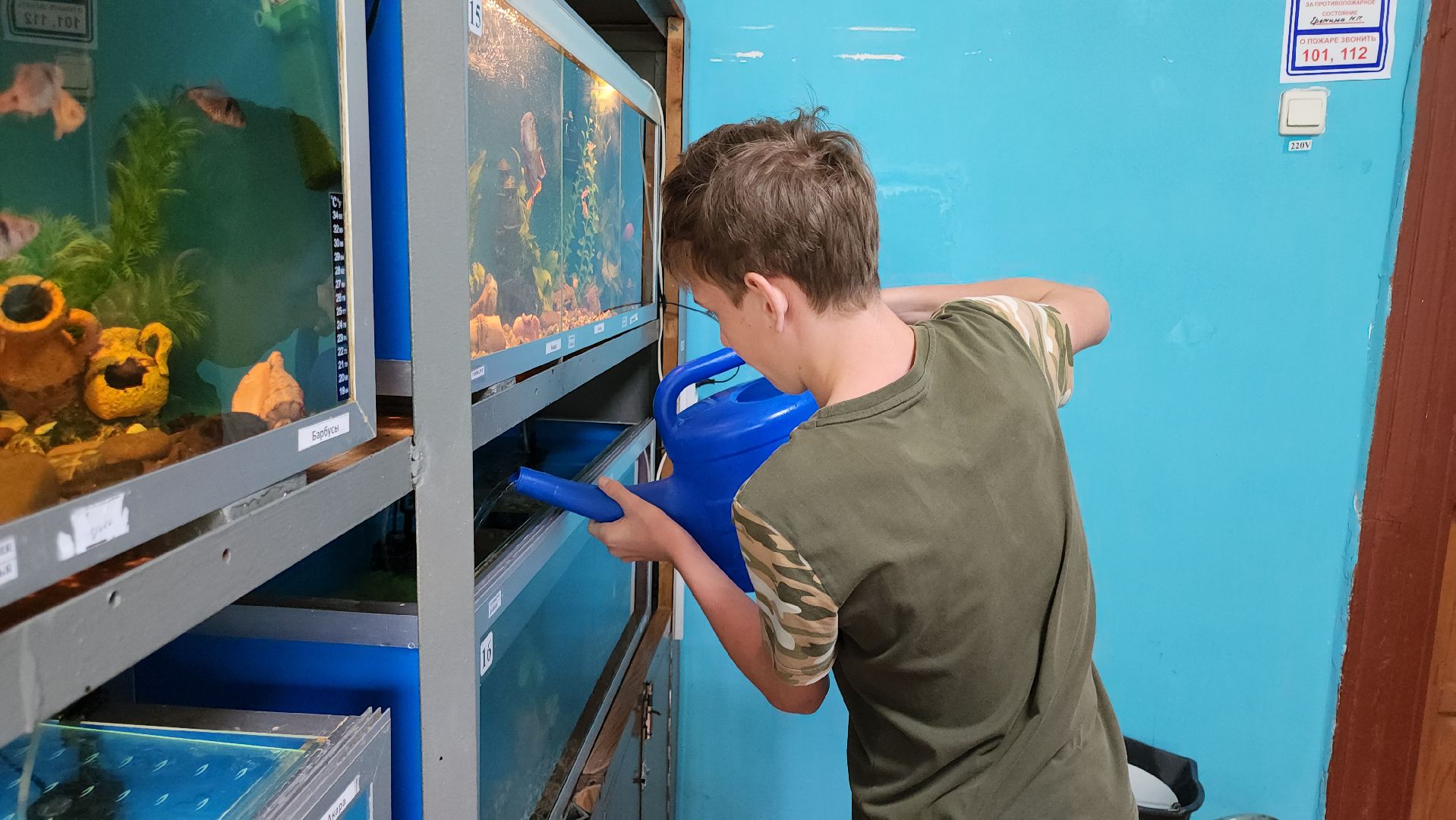 кашира, детский экологический центр, работа, школьники, животные, живой уголок, трудовые бригады,