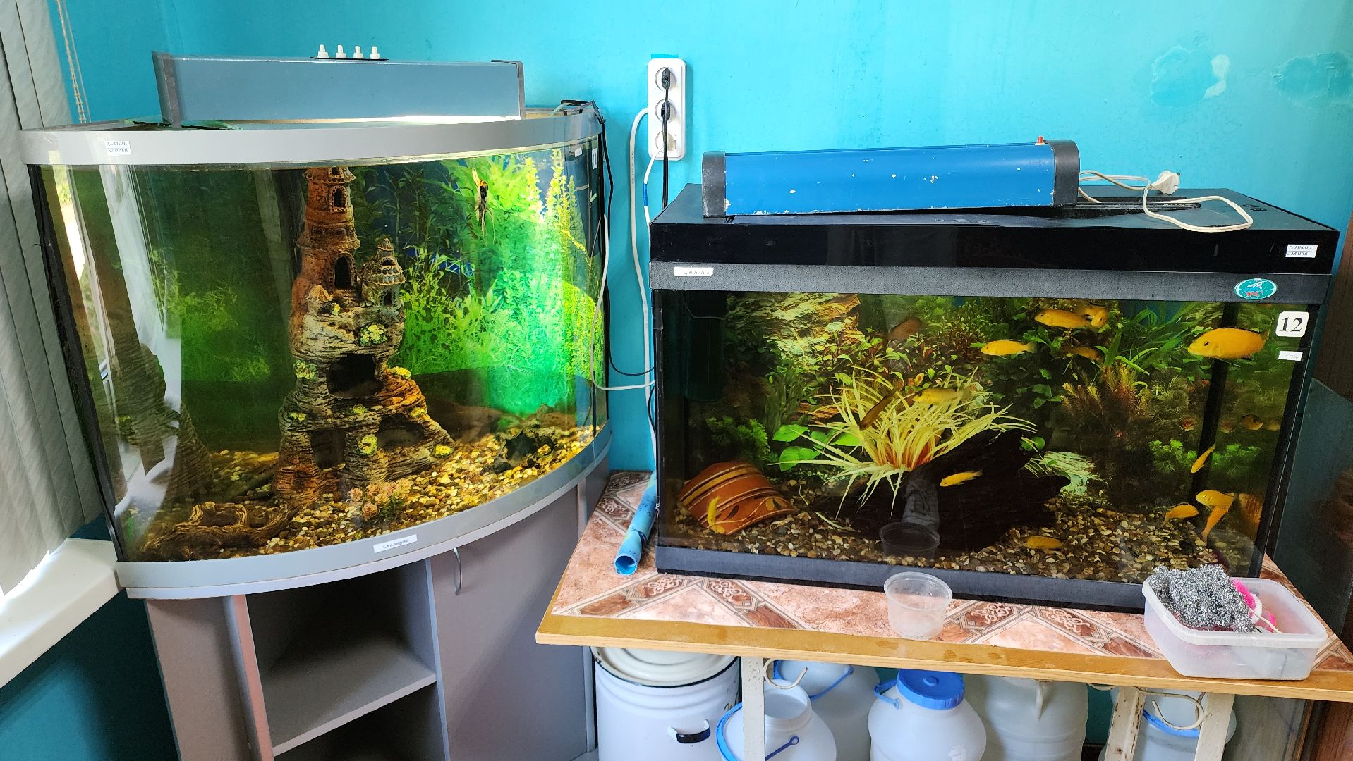 кашира, детский экологический центр, работа, школьники, животные, живой уголок, трудовые бригады,