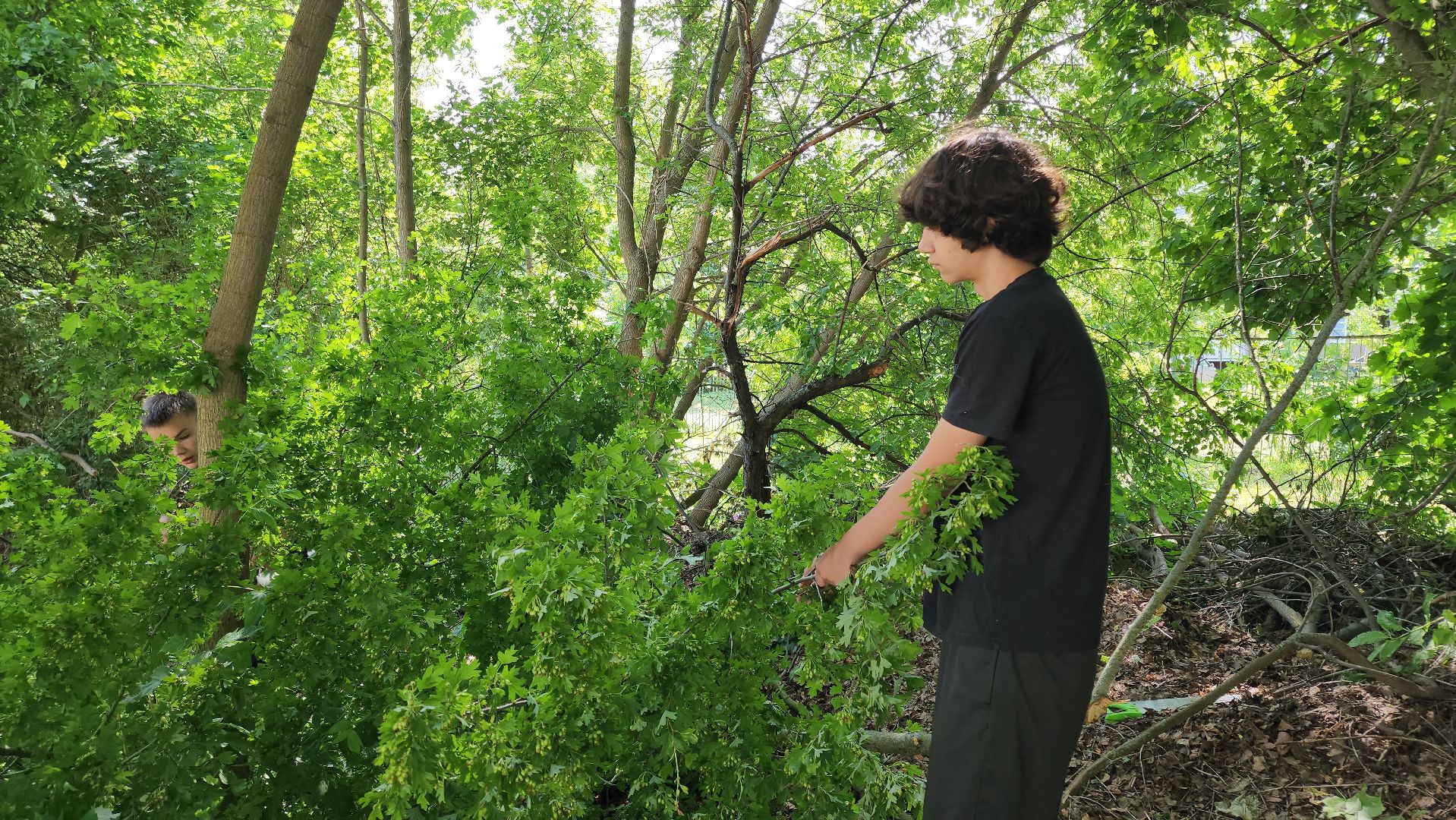 кашира, детский экологический центр, работа, школьники, животные, живой уголок, трудовые бригады,