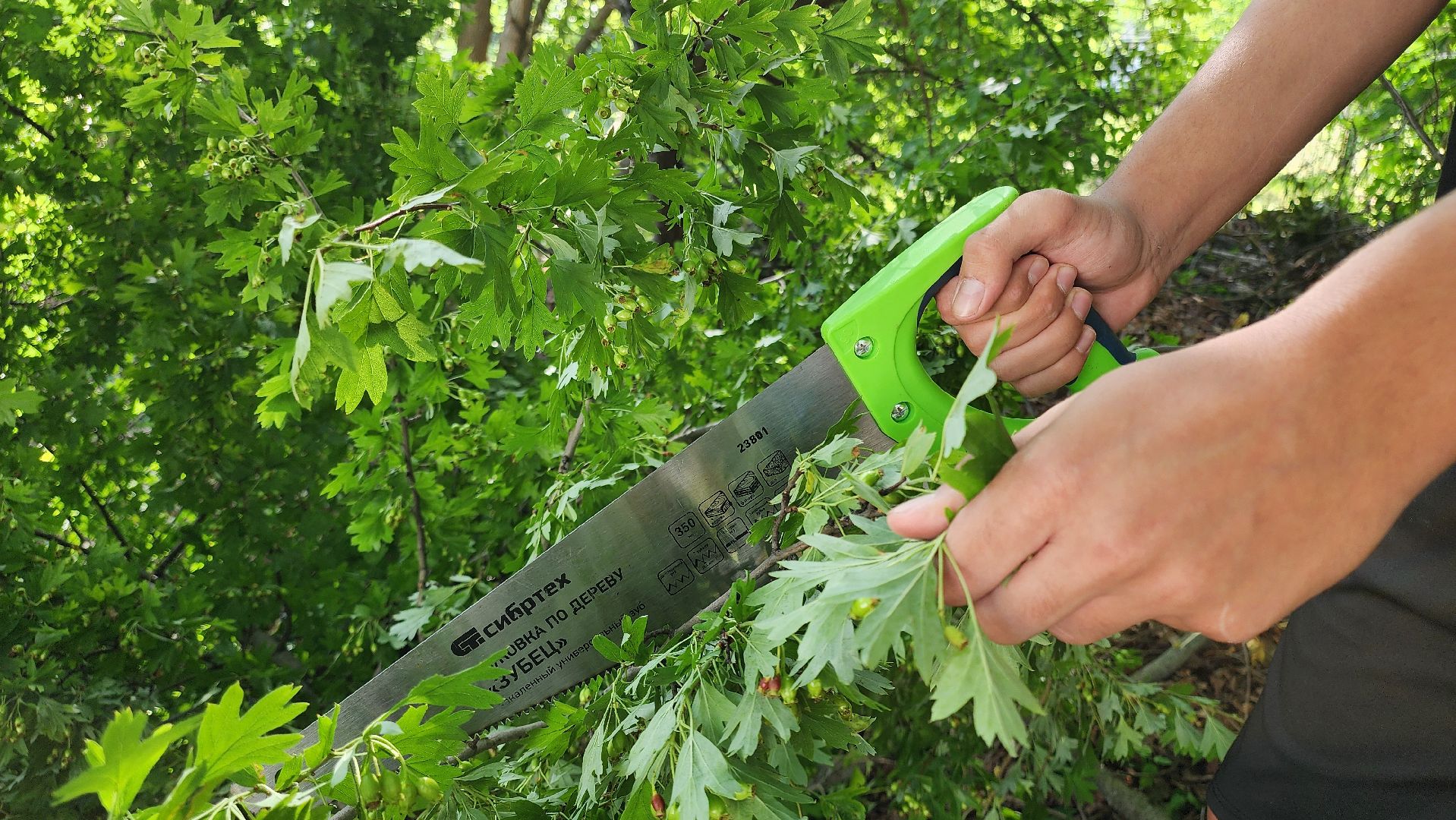 кашира, детский экологический центр, работа, школьники, животные, живой уголок, трудовые бригады,