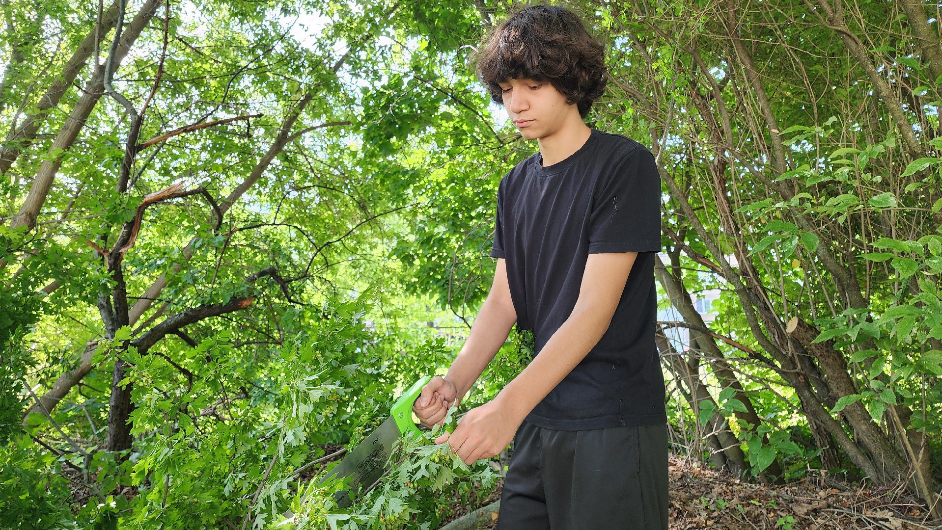 кашира, детский экологический центр, работа, школьники, животные, живой уголок, трудовые бригады,