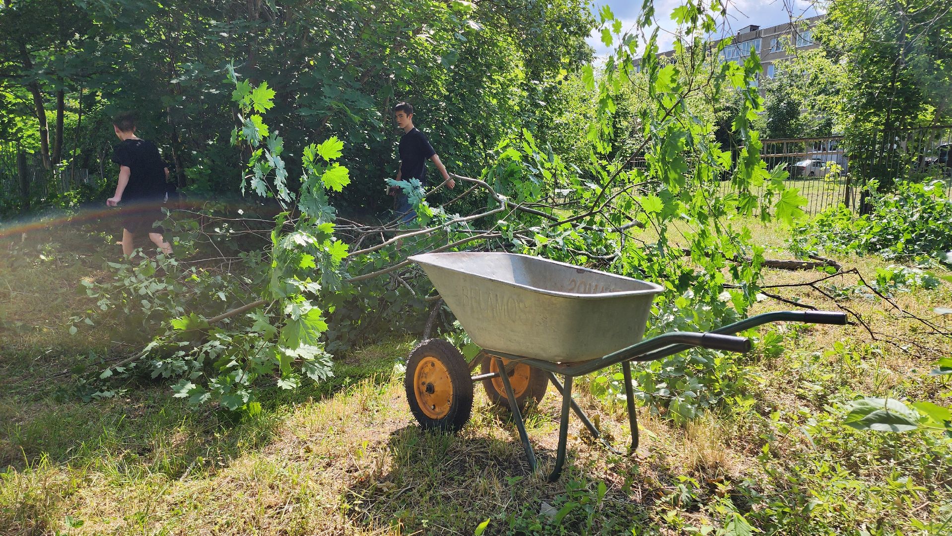 кашира, детский экологический центр, работа, школьники, животные, живой уголок, трудовые бригады,