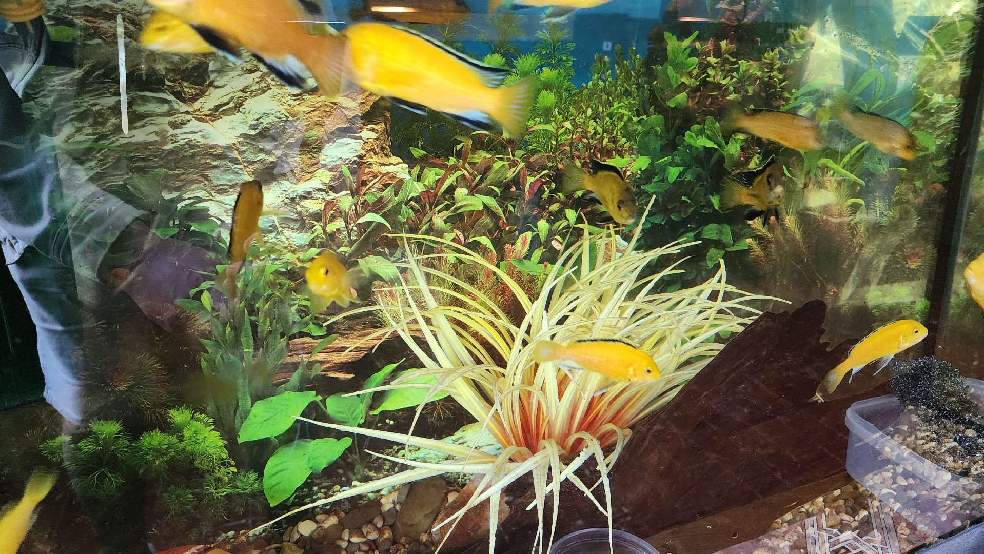 кашира, детский экологический центр, работа, школьники, животные, живой уголок, трудовые бригады,