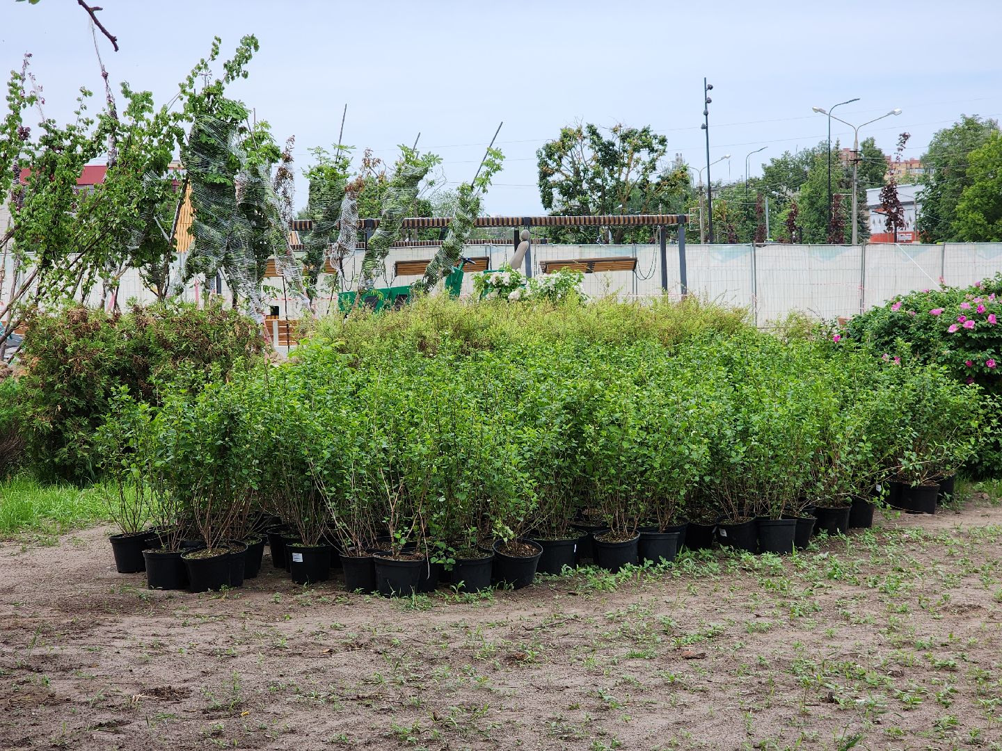 Егорьевск , Подмосковье , Московская область ,