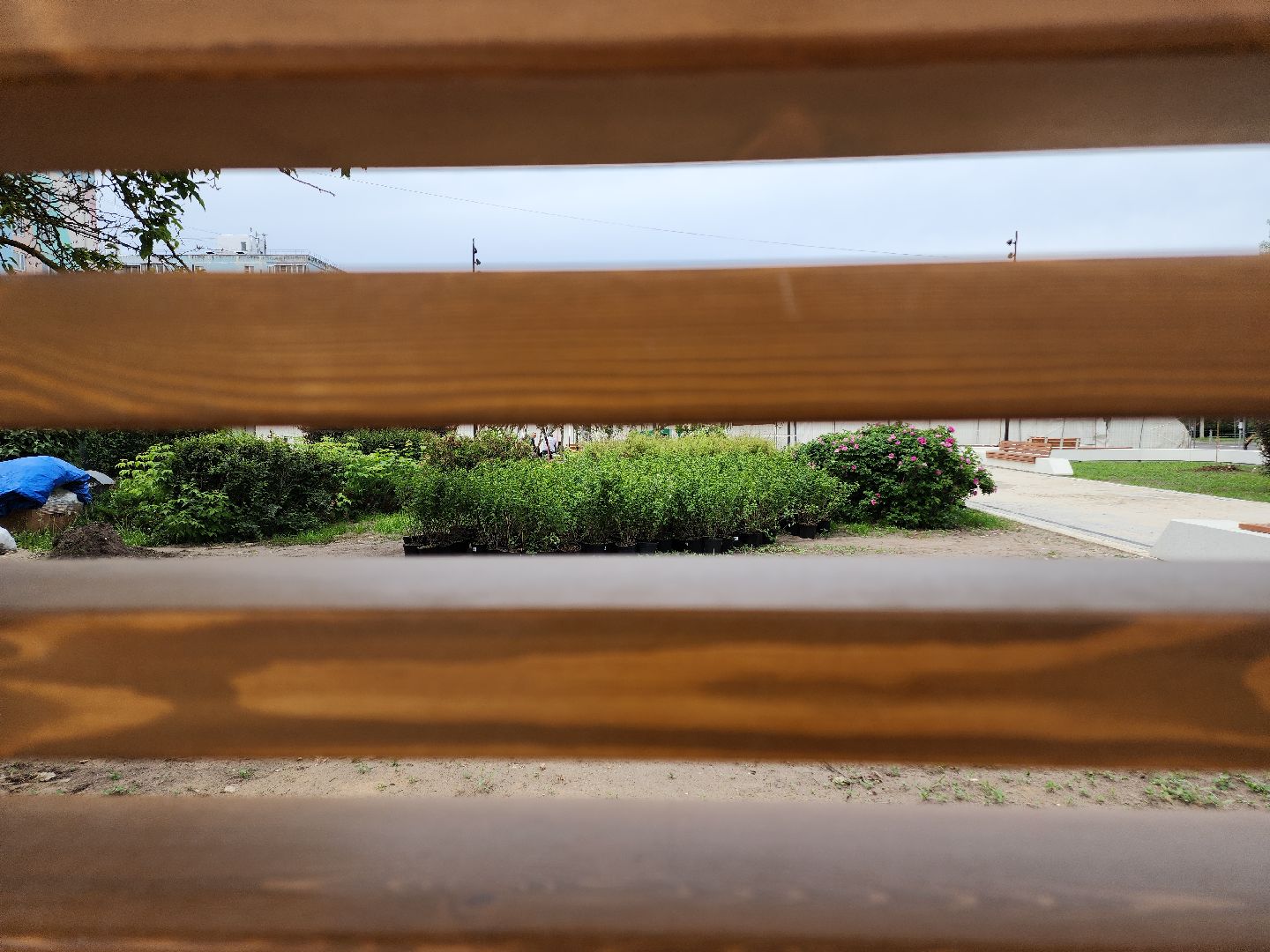 Егорьевск , Подмосковье , Московская область ,