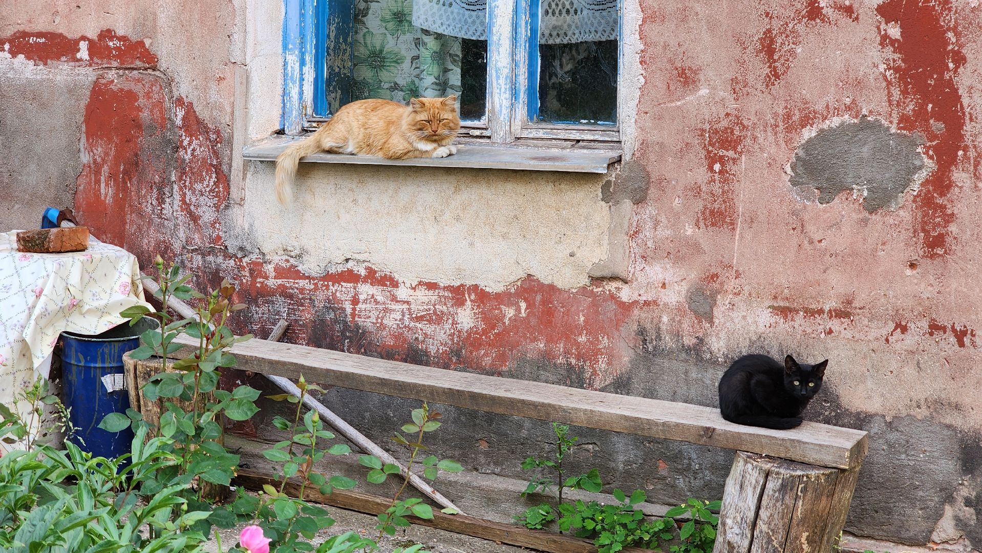 кашира, выездная администрация, капитальный ремонт, ремонт кровли, ремонт фундамента, ремонт фасада, жкх,