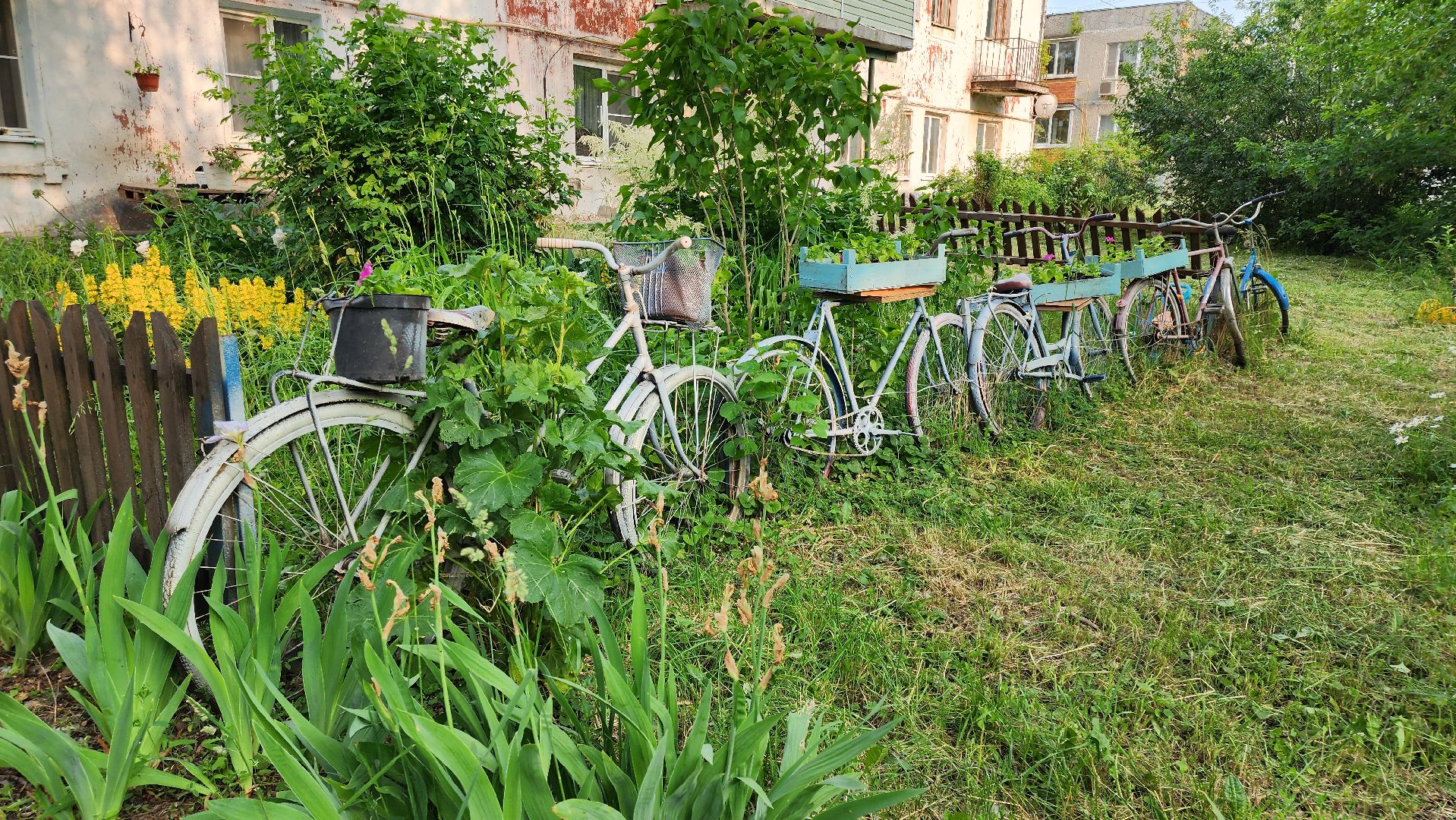 кашира, выездная администрация, капитальный ремонт, ремонт кровли, ремонт фундамента, ремонт фасада, жкх,