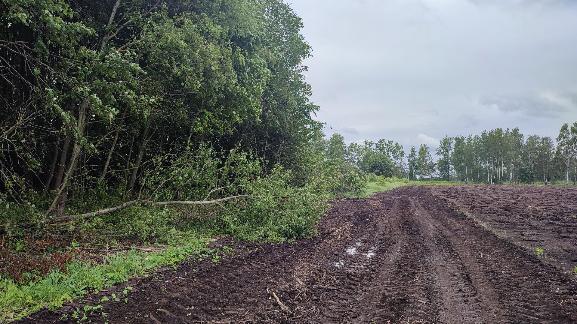 кашира, ледово, выездная администрация, ремонт дороги, грунтовая дорога, освещение,