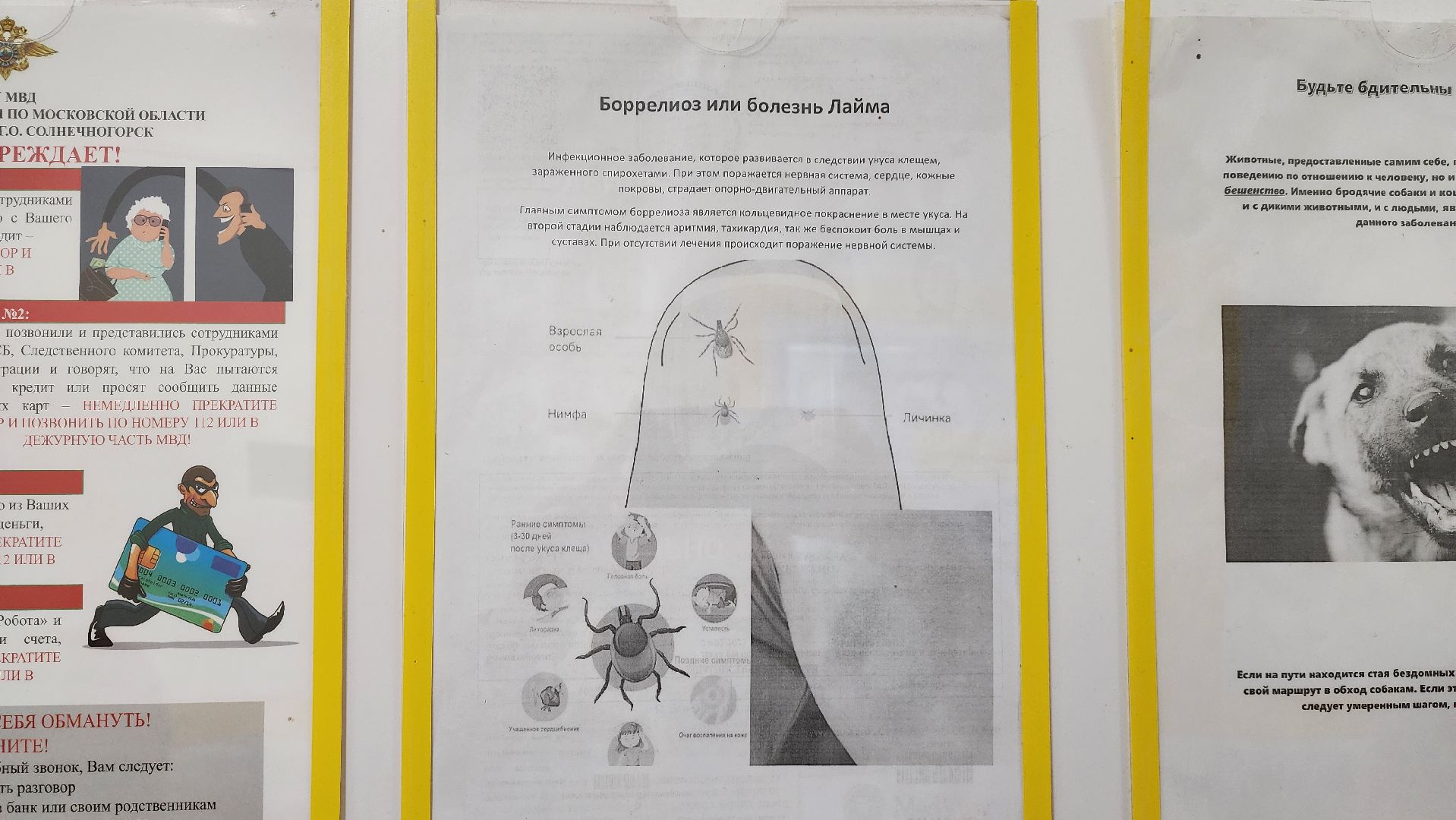 солнечногорск, медицина, укус клеща, травмпункт,