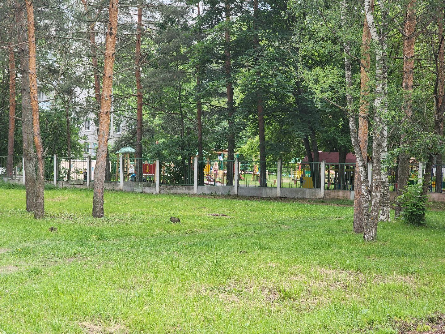 детские группы, орехово-зуево,