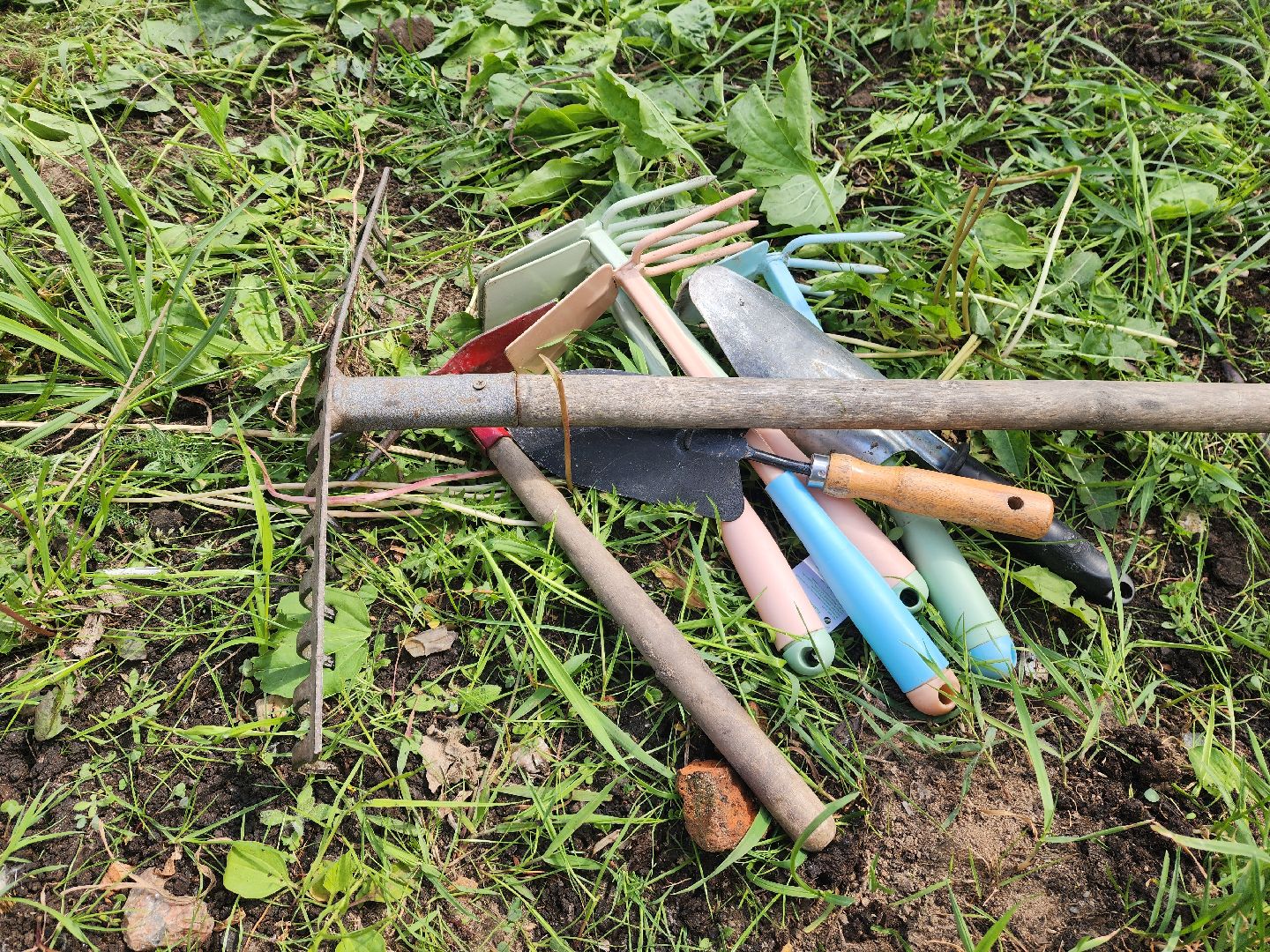 красноармейск, городской округ пушкинский, экологическая бригада, городские цветники,