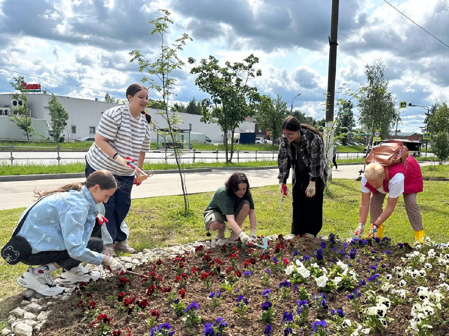 красноармейск, городской округ пушкинский, экологическая бригада, городские цветники,