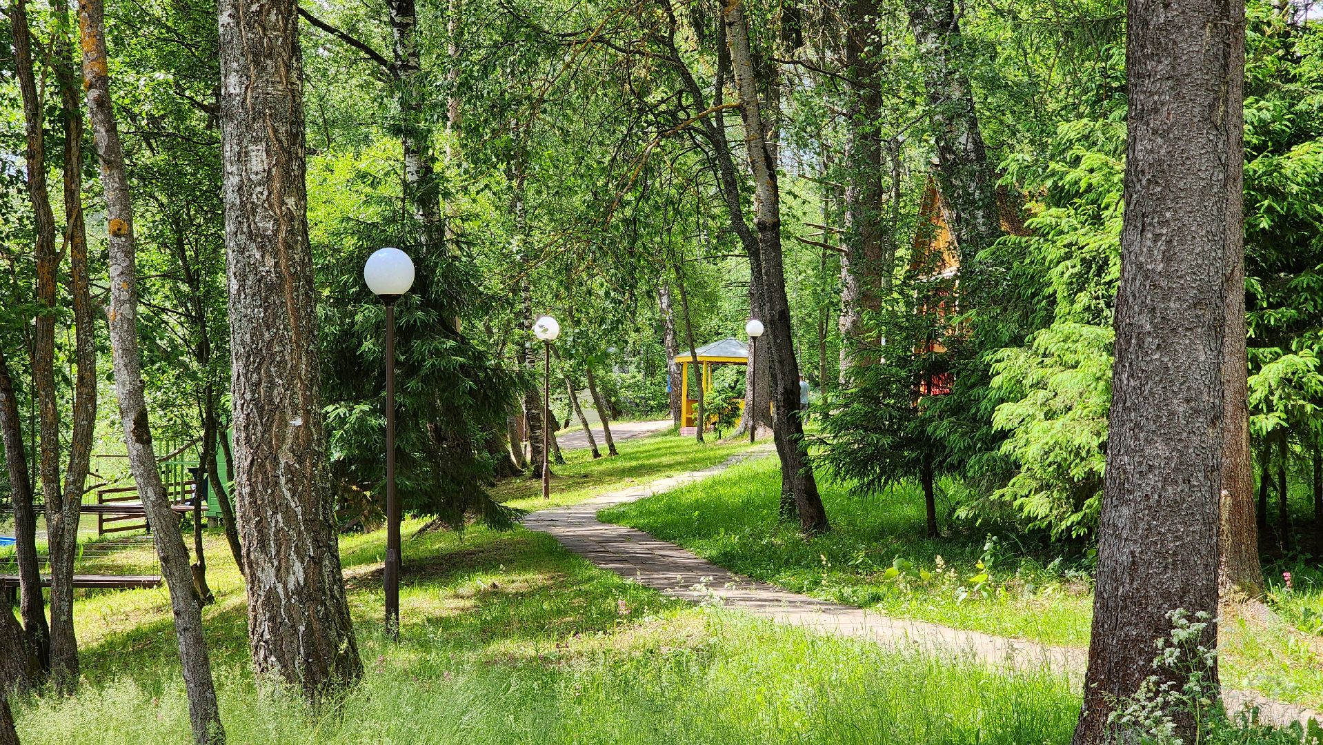 Руза, лето в рузе, Пляж, Отдых на воде,