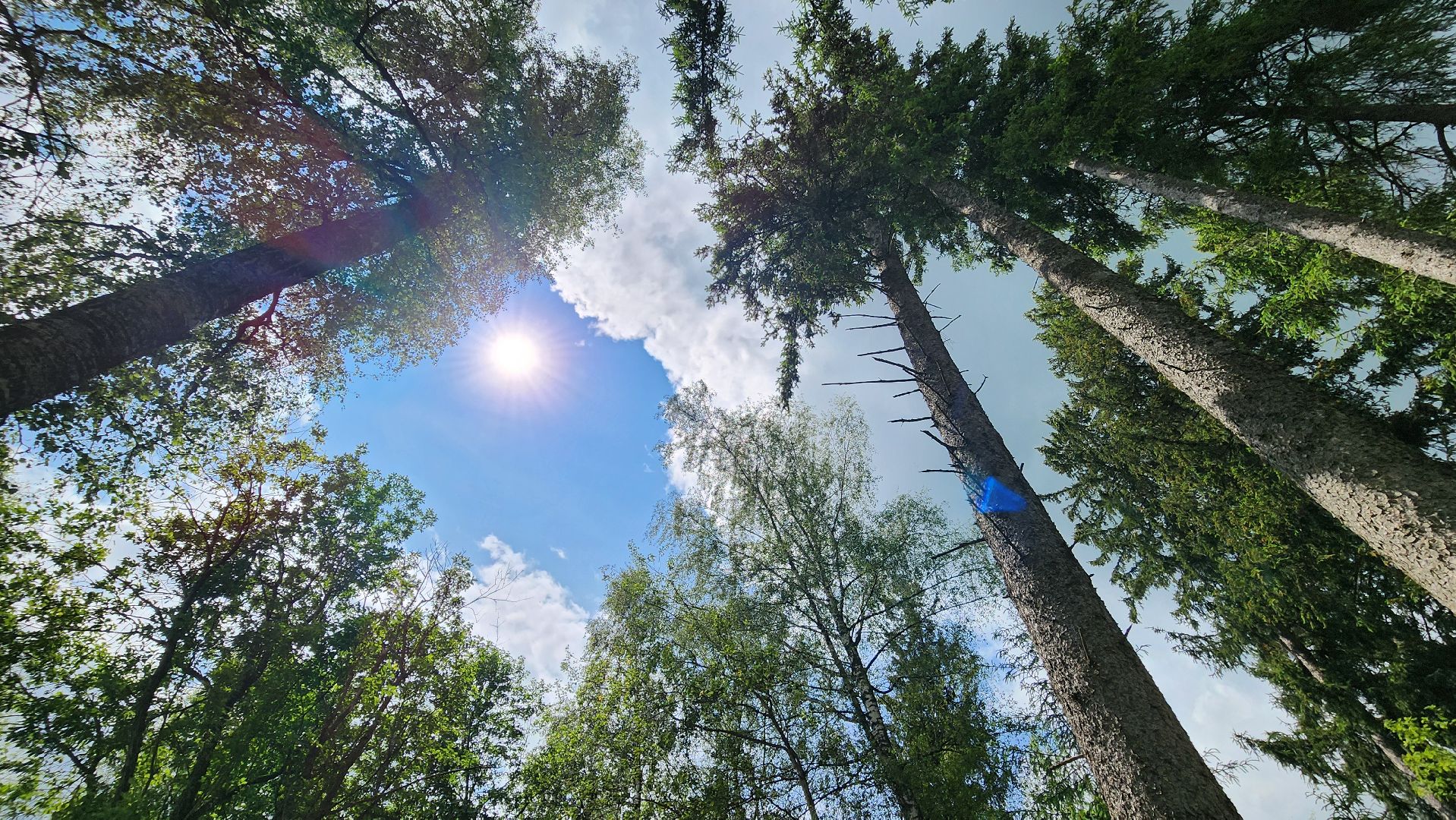 Руза, лето в рузе, Пляж, Отдых на воде,