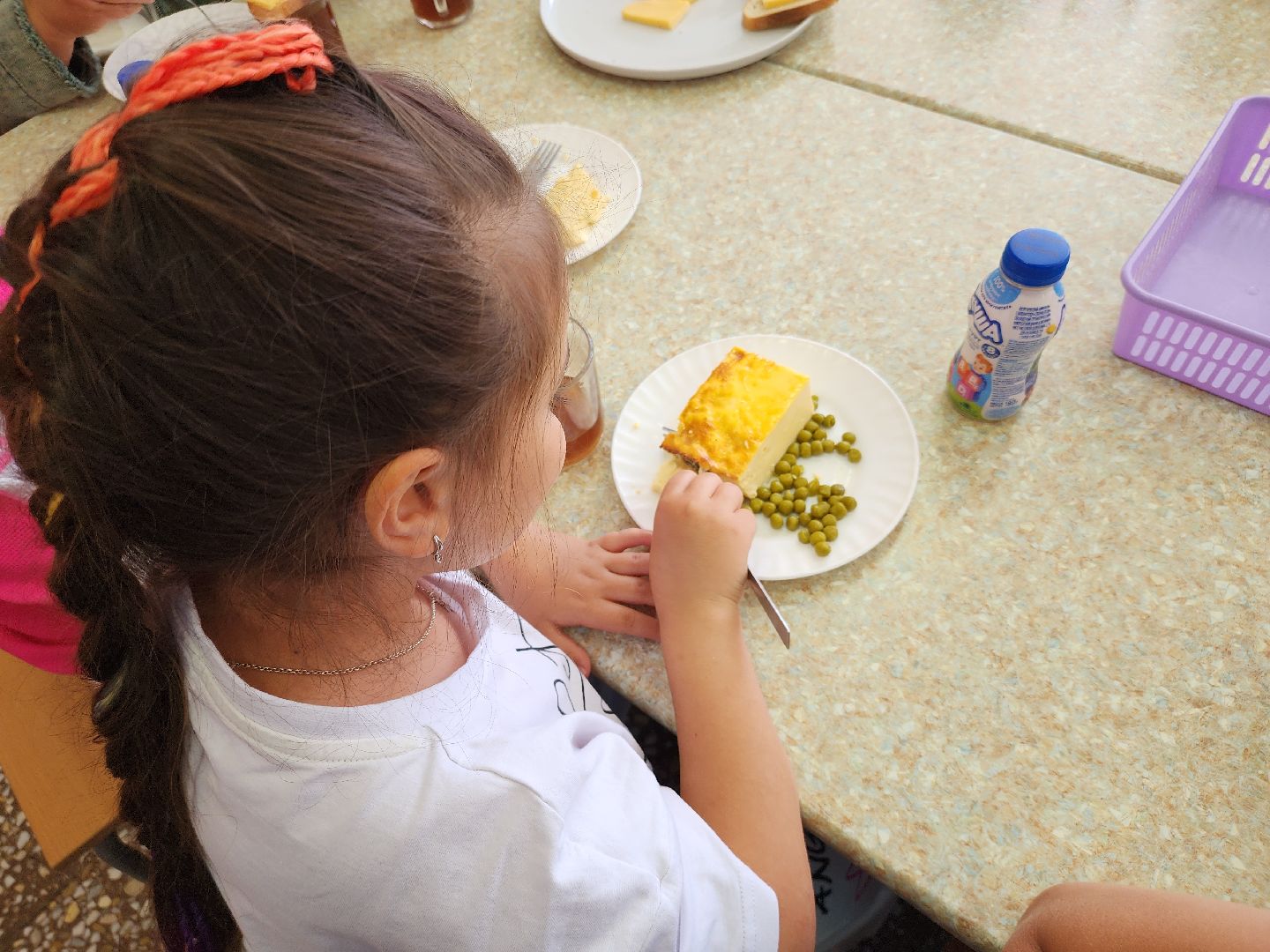 Зарайск, Лето, Каникулы, Пришкольный лагерь,