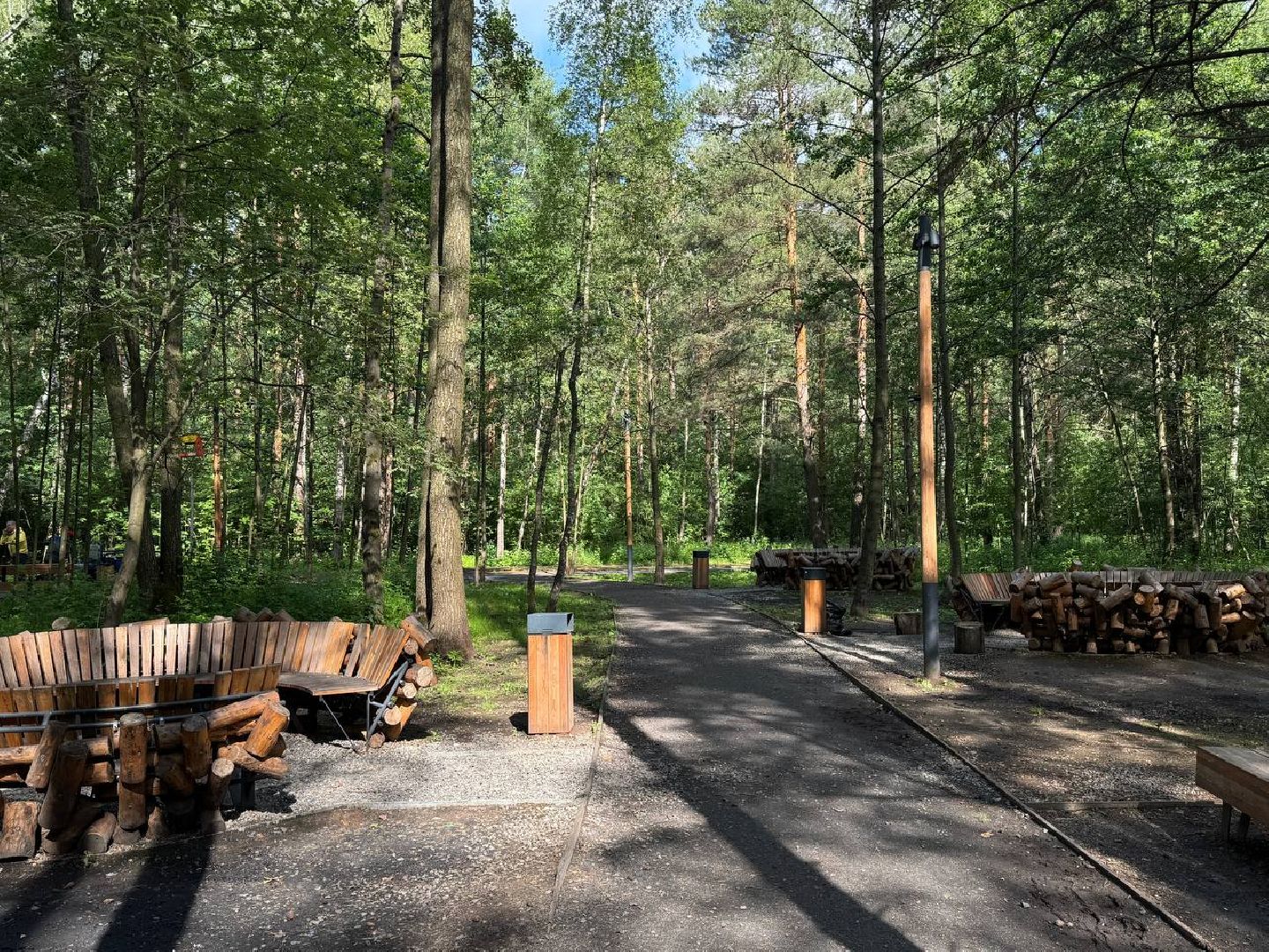 люберцы, наташинский парк, Лесная опушка, отдых в подмосковье, отдых на природе,