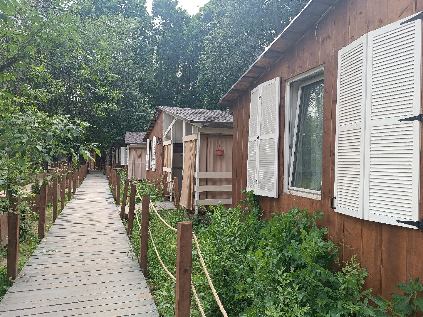 люберцы, наташинский парк, Лесная опушка, отдых в подмосковье, отдых на природе,