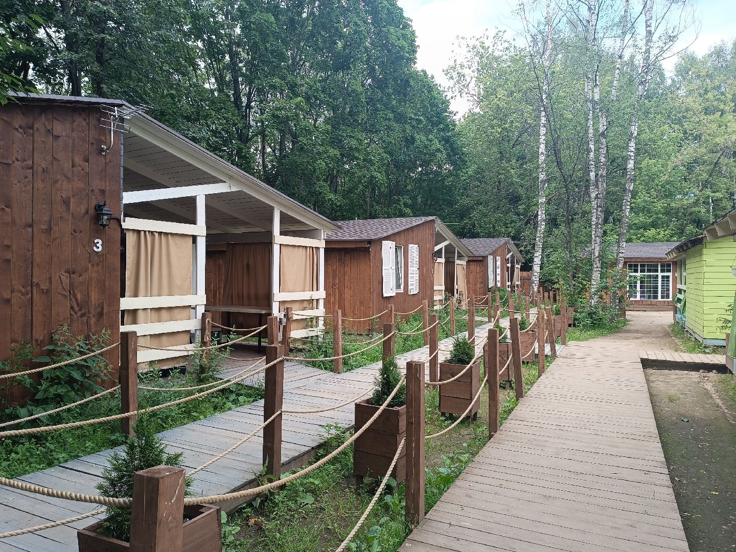 люберцы, наташинский парк, Лесная опушка, отдых в подмосковье, отдых на природе,