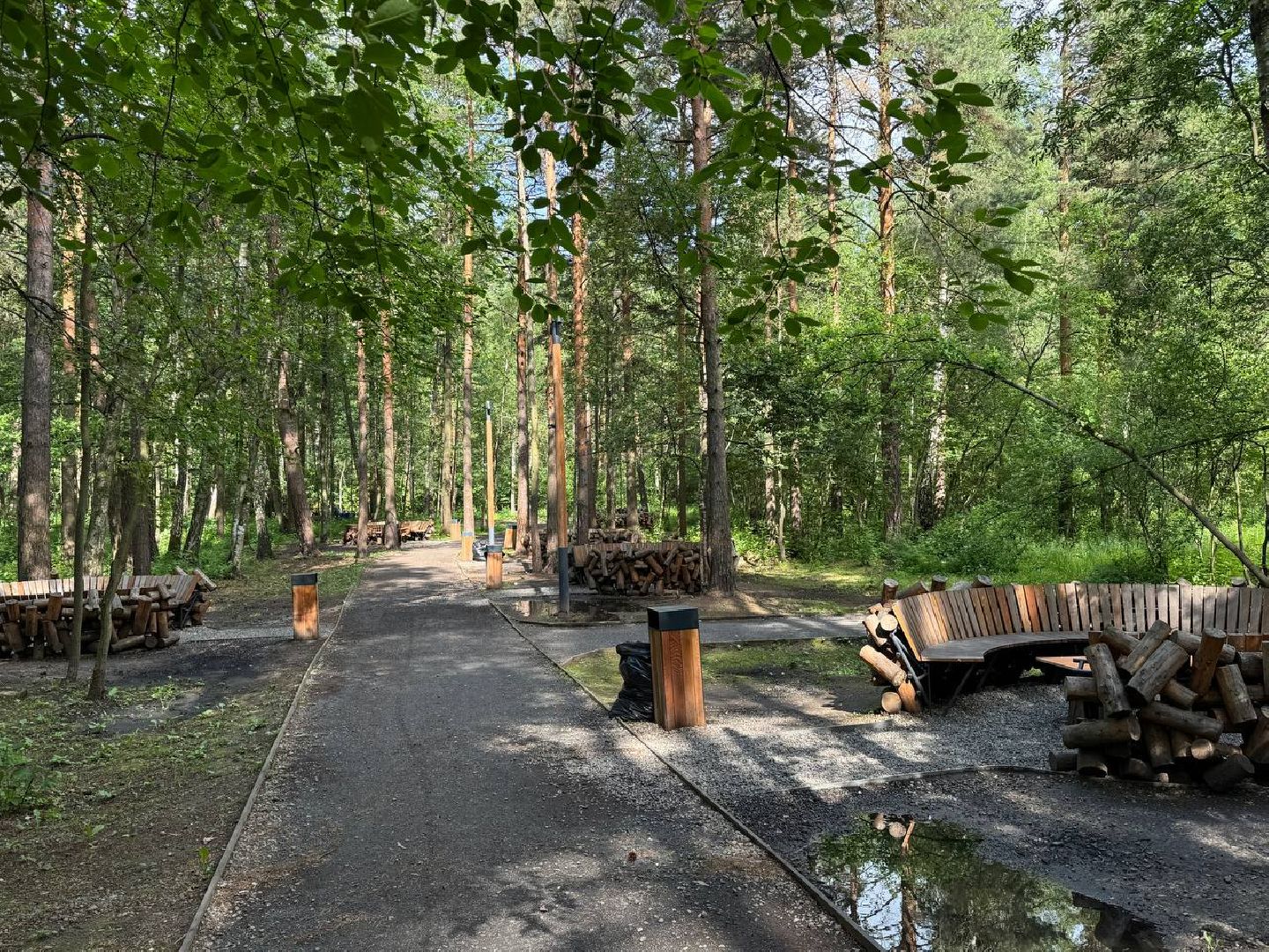 люберцы, наташинский парк, Лесная опушка, отдых в подмосковье, отдых на природе,