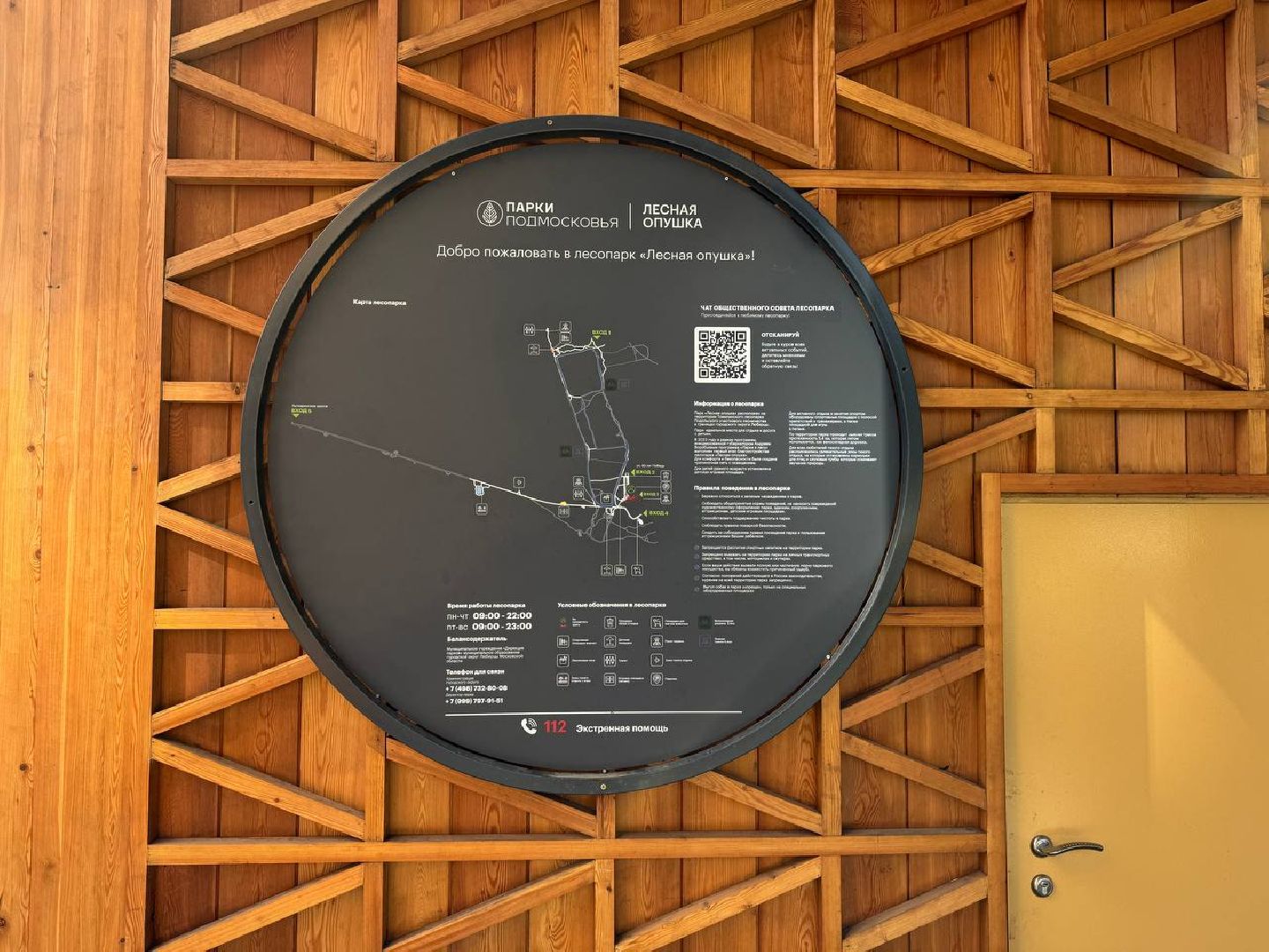 люберцы, наташинский парк, Лесная опушка, отдых в подмосковье, отдых на природе,