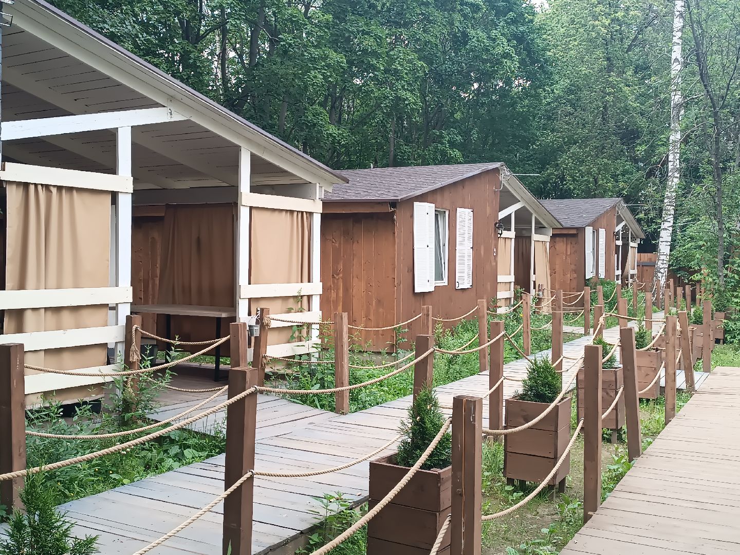 люберцы, наташинский парк, Лесная опушка, отдых в подмосковье, отдых на природе,