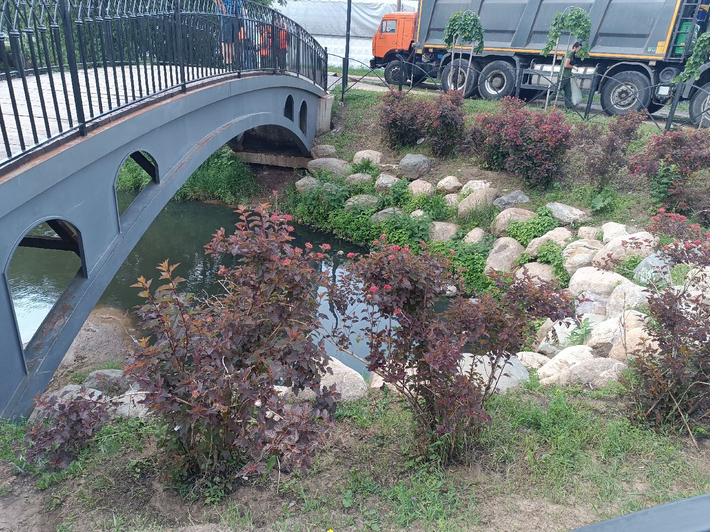 люберцы, пруд, Благоустройство , очистка водоема, островцы,