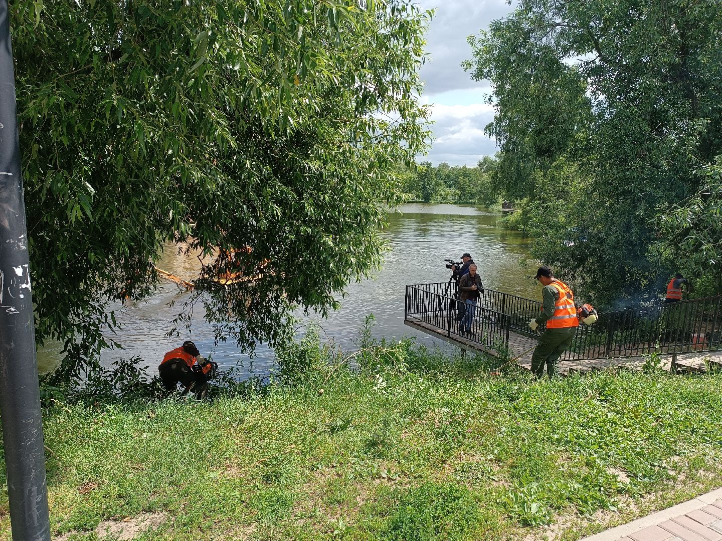 люберцы, пруд, Благоустройство , очистка водоема, островцы,