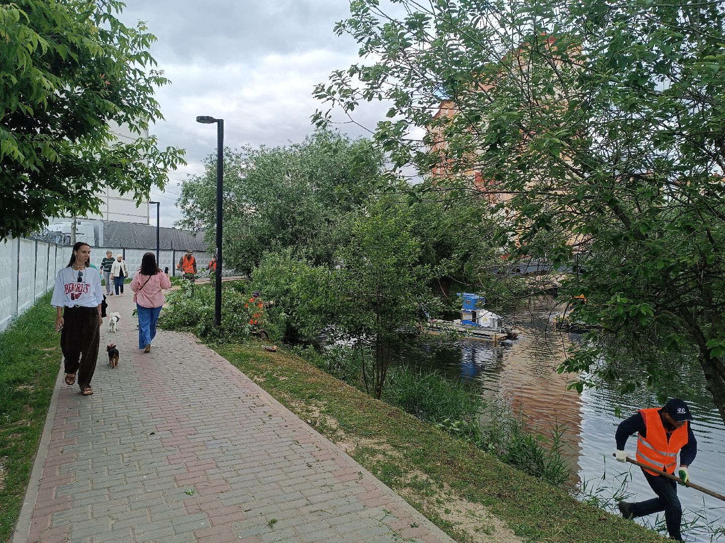 люберцы, пруд, Благоустройство , очистка водоема, островцы,