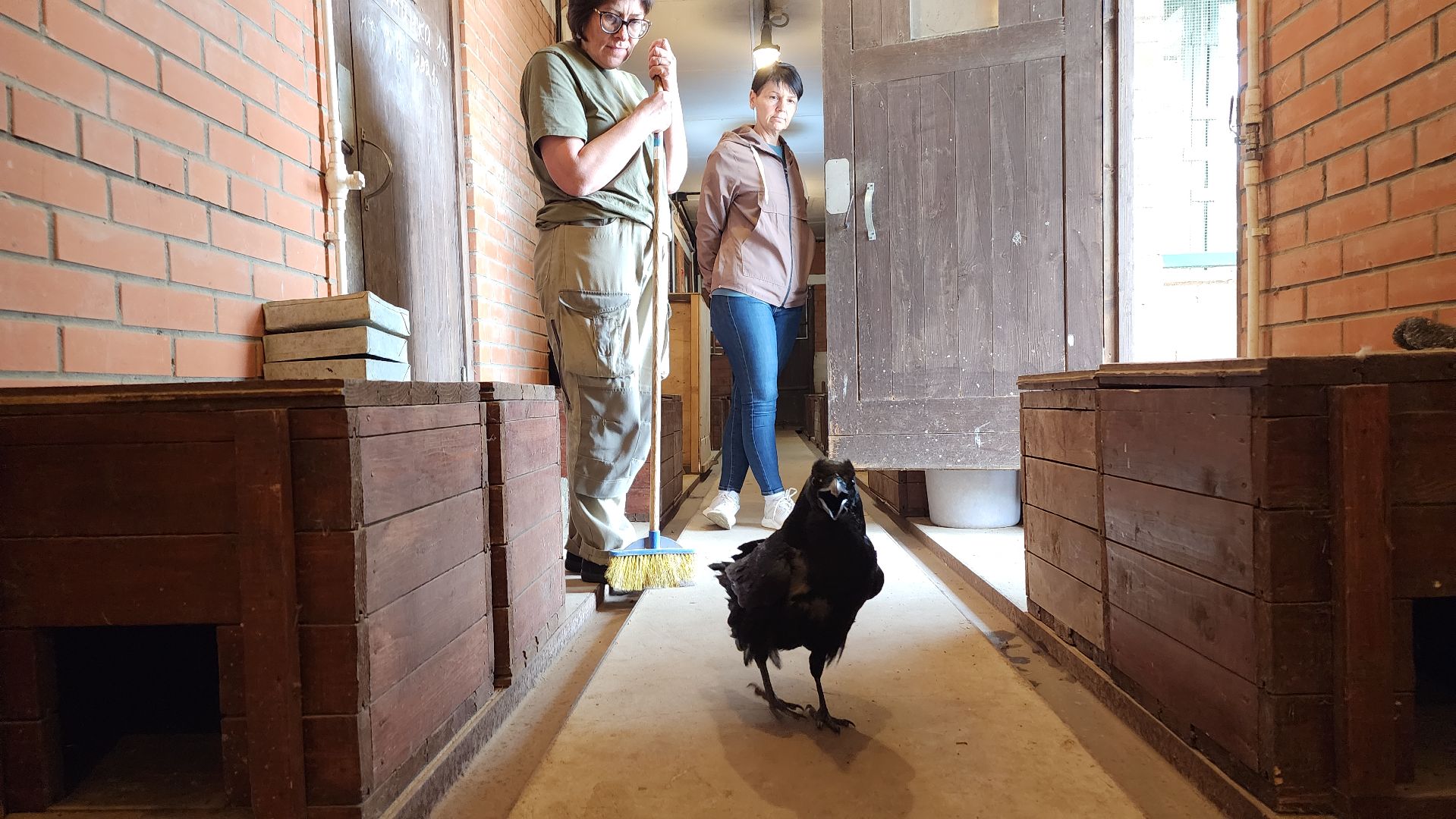 волоколамск, карлуша,