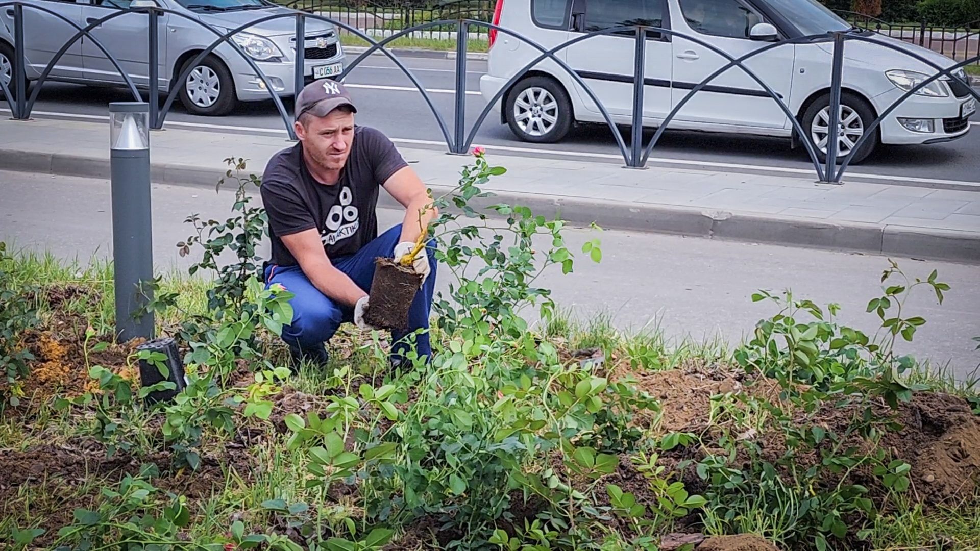 бронницы, союз Содействие женскому предпринимательству , Нежная клумба , новый цветник на площади имени Тимофеева ,