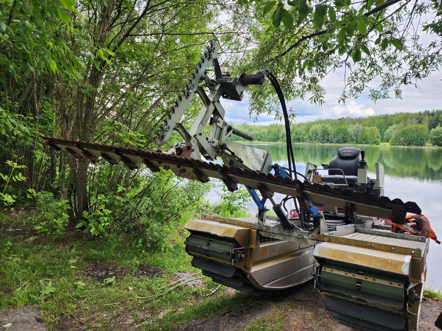 электросталь, жители, общество, очистка водоема, голосование, пруд, 100 прудов и озер,