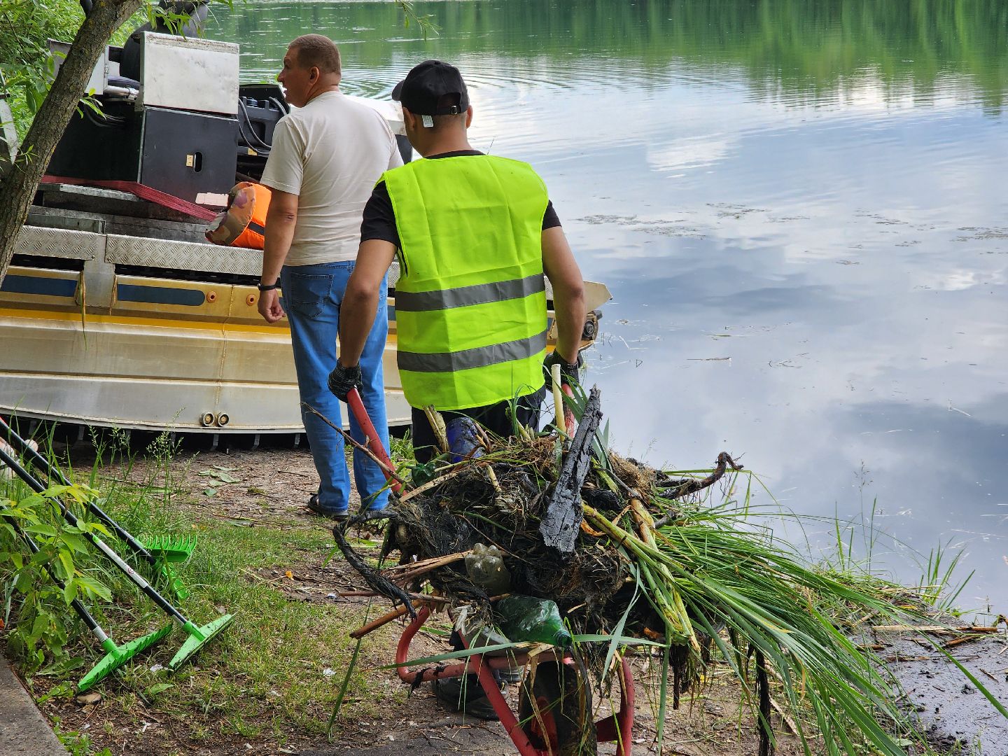 электросталь, жители, общество, очистка водоема, голосование, пруд, 100 прудов и озер,