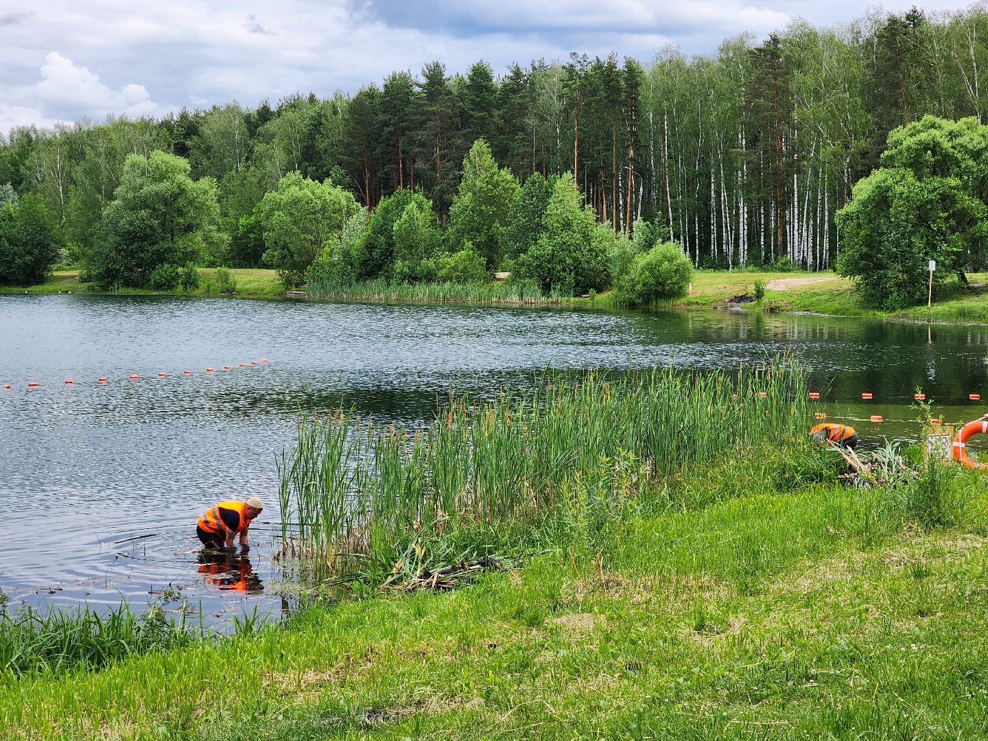 электросталь, жители, общество, очистка водоема, голосование, пруд, 100 прудов и озер,