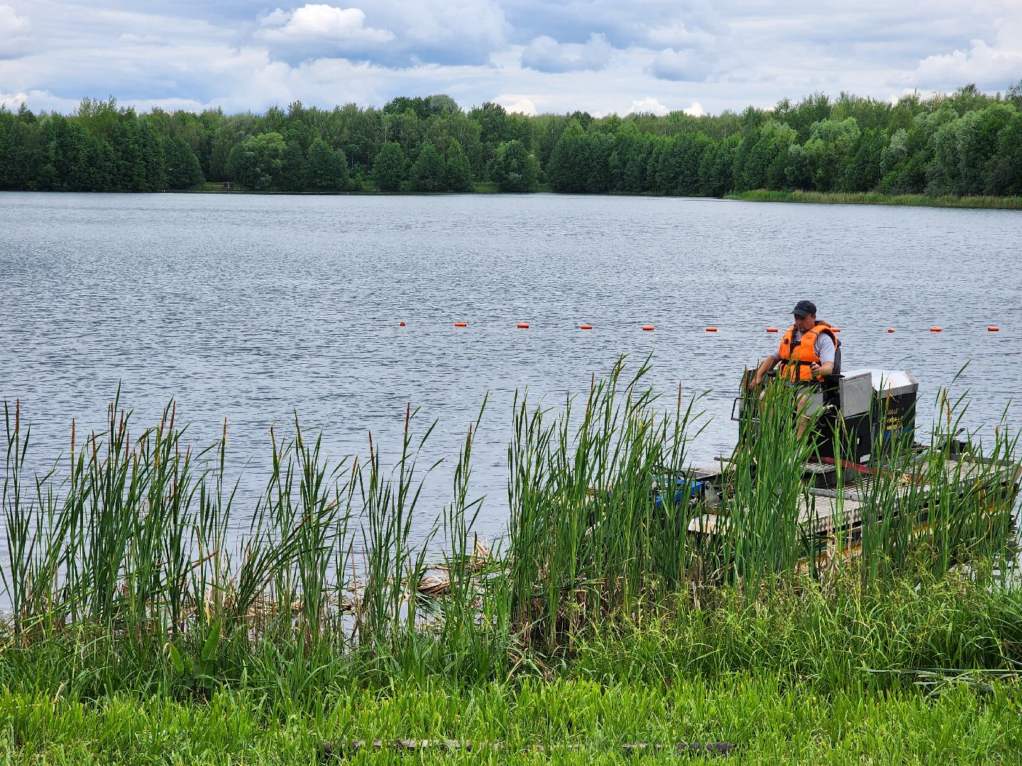 электросталь, жители, общество, очистка водоема, голосование, пруд, 100 прудов и озер,