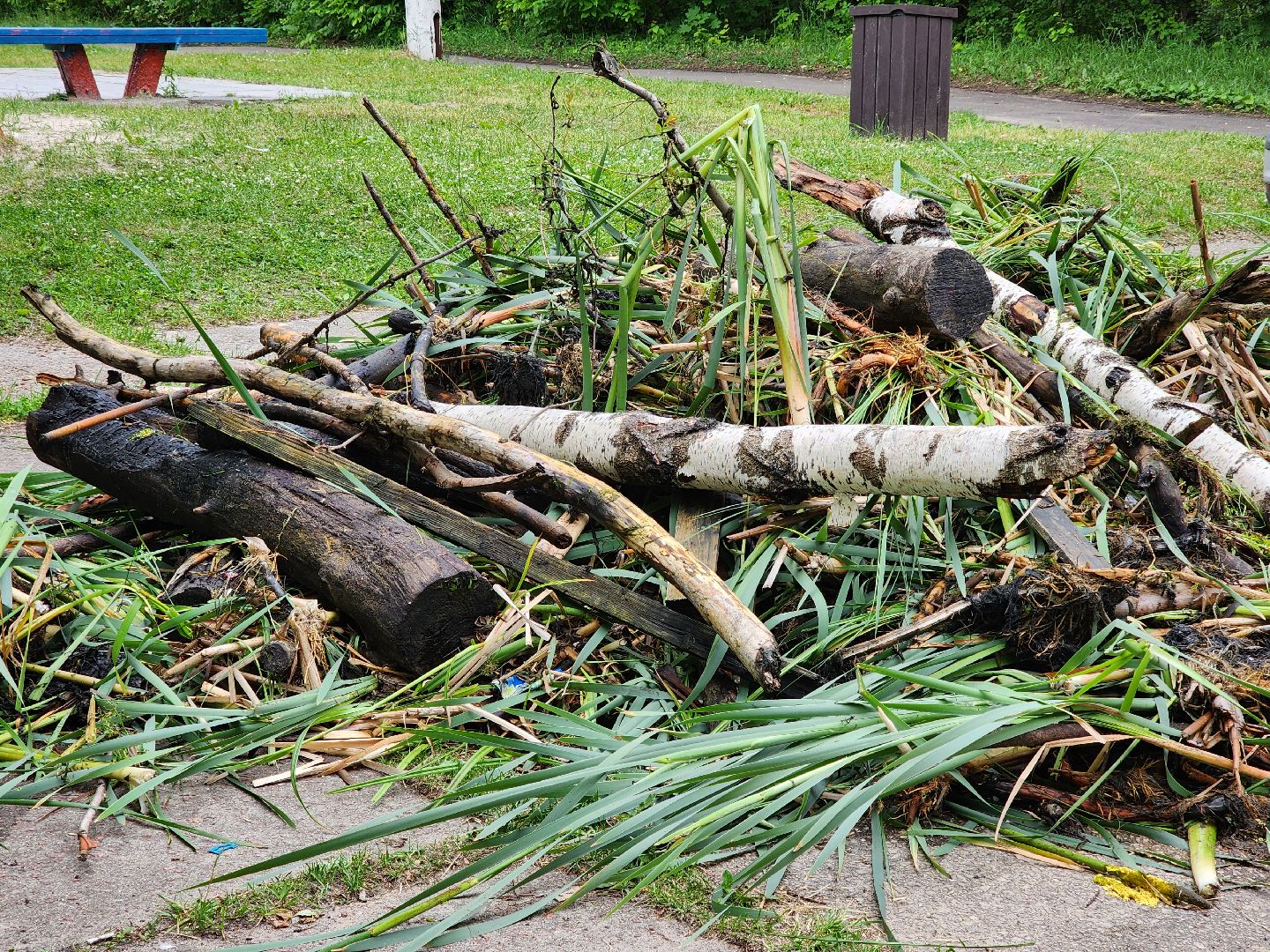 электросталь, жители, общество, очистка водоема, голосование, пруд, 100 прудов и озер,