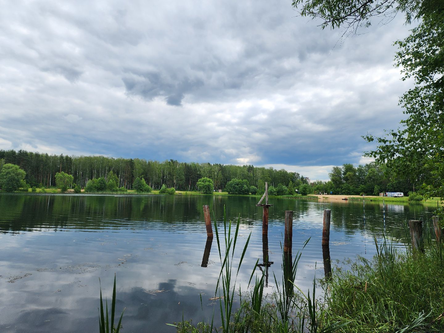 электросталь, жители, общество, очистка водоема, голосование, пруд, 100 прудов и озер,