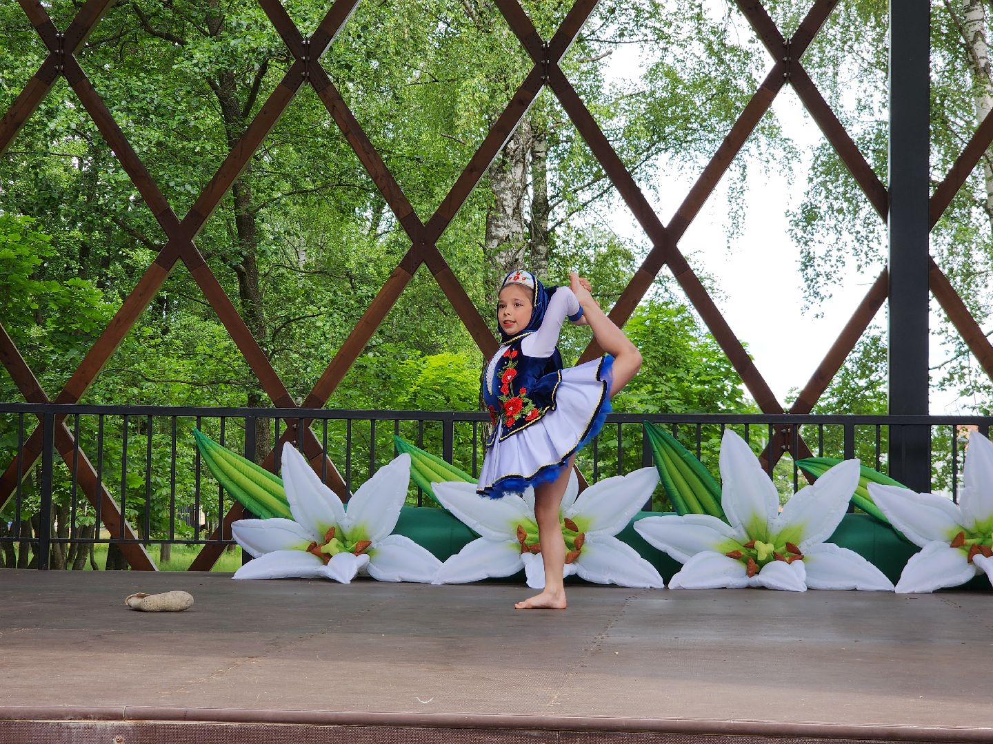 Егорьевск, Подмосковье, МОсковская область,