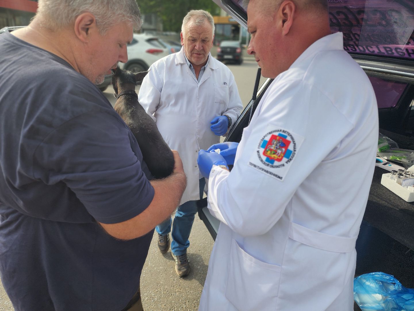 сергиев посад, бешенство, вакцинация, чипирование, терветуправление 2,