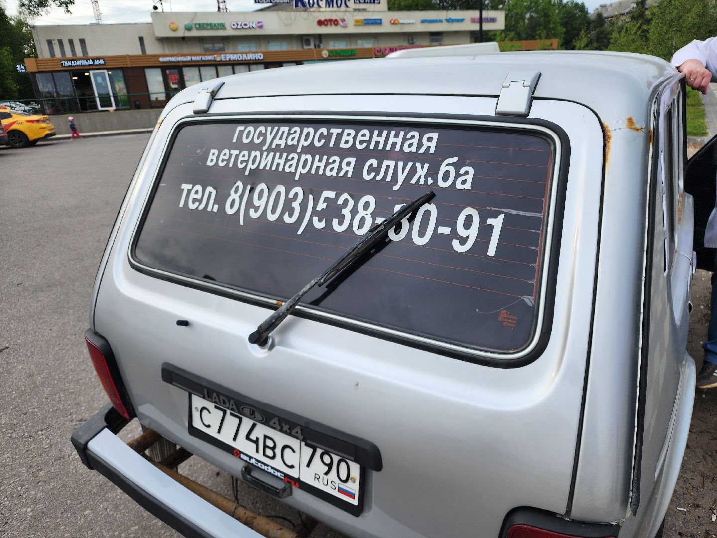 сергиев посад, бешенство, вакцинация, чипирование, терветуправление 2,