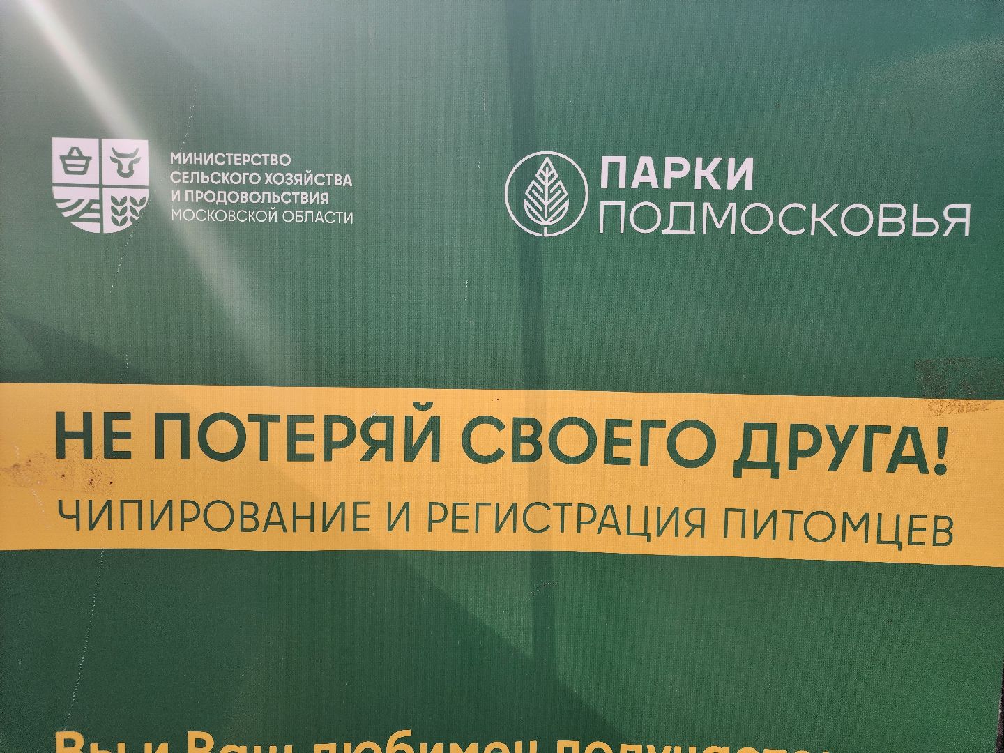 сергиев посад, бешенство, вакцинация, чипирование, терветуправление 2,