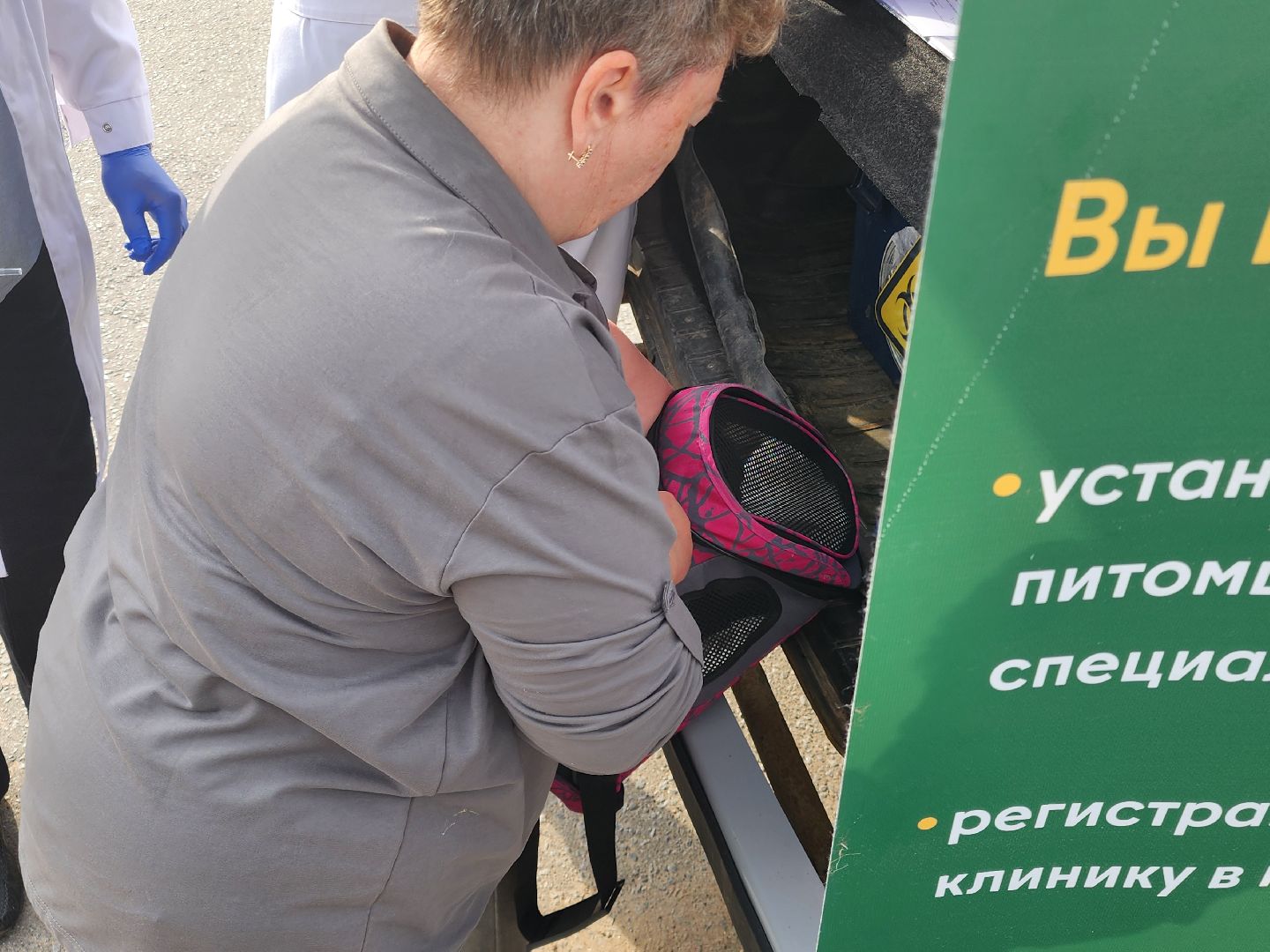 сергиев посад, бешенство, вакцинация, чипирование, терветуправление 2,