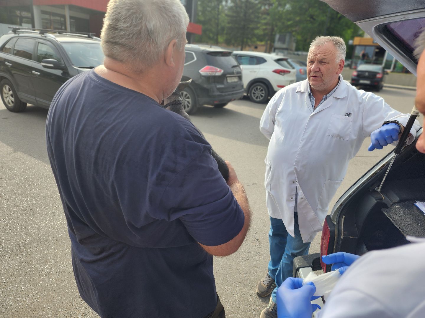 сергиев посад, бешенство, вакцинация, чипирование, терветуправление 2,