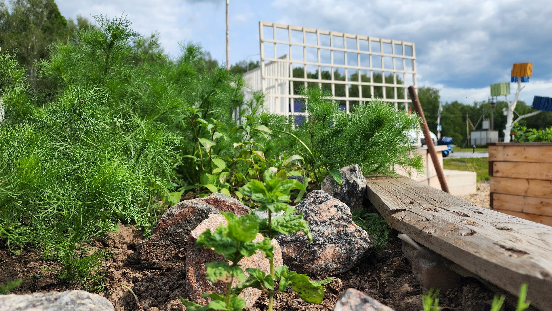 ступино, особая экономическая зона, культура, бизнес,