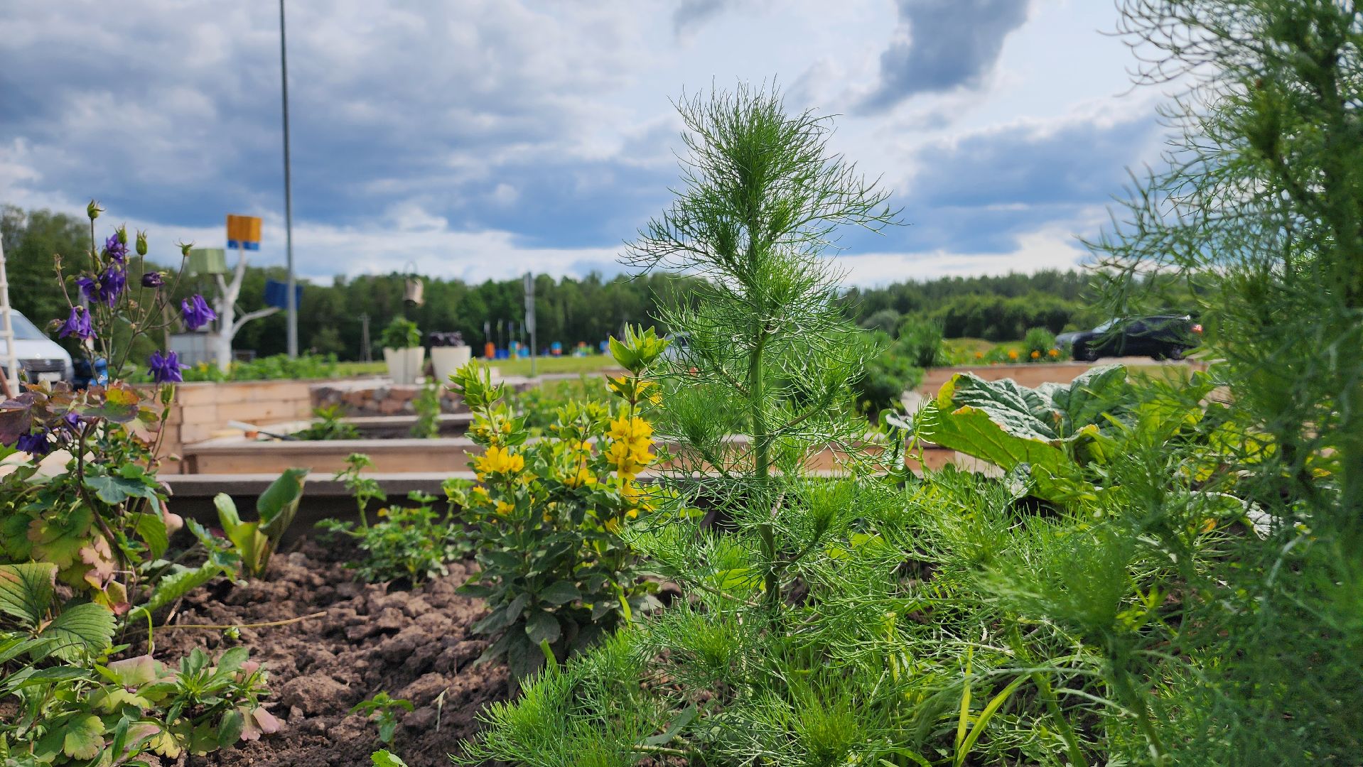 ступино, особая экономическая зона, культура, бизнес,