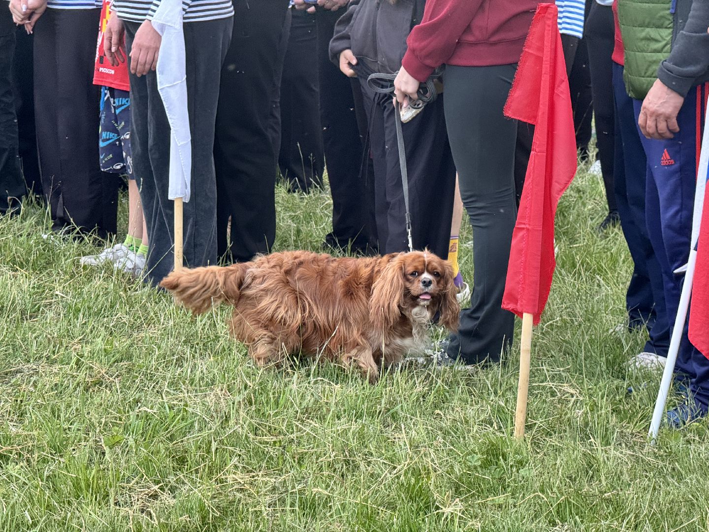 шаховская, турслёт, туристический слёт,