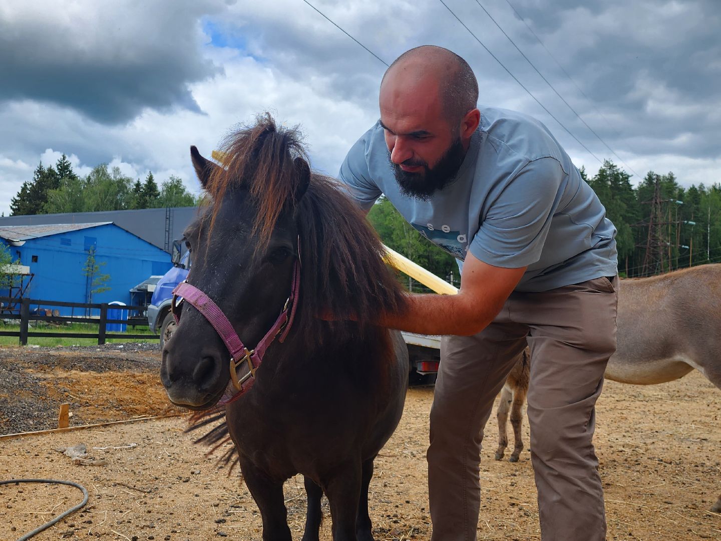 наро-фоминский городской округ, алексеевка, фермер, тахир джаппуев, агротуризм, семейные выходные,