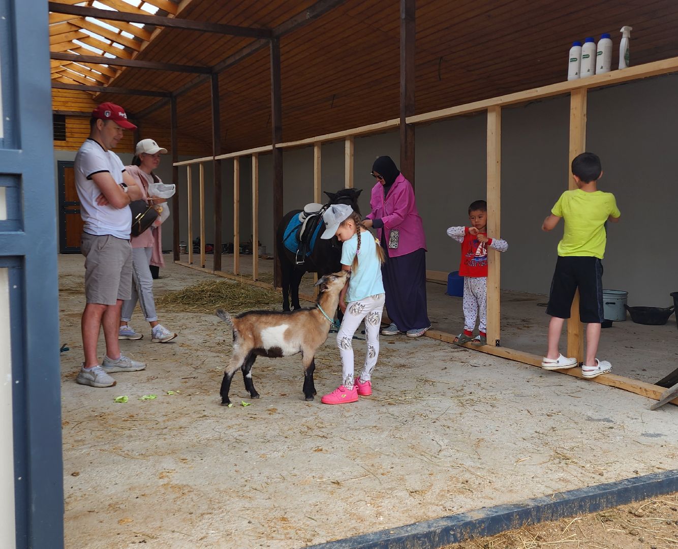наро-фоминский городской округ, алексеевка, фермер, тахир джаппуев, агротуризм, семейные выходные,