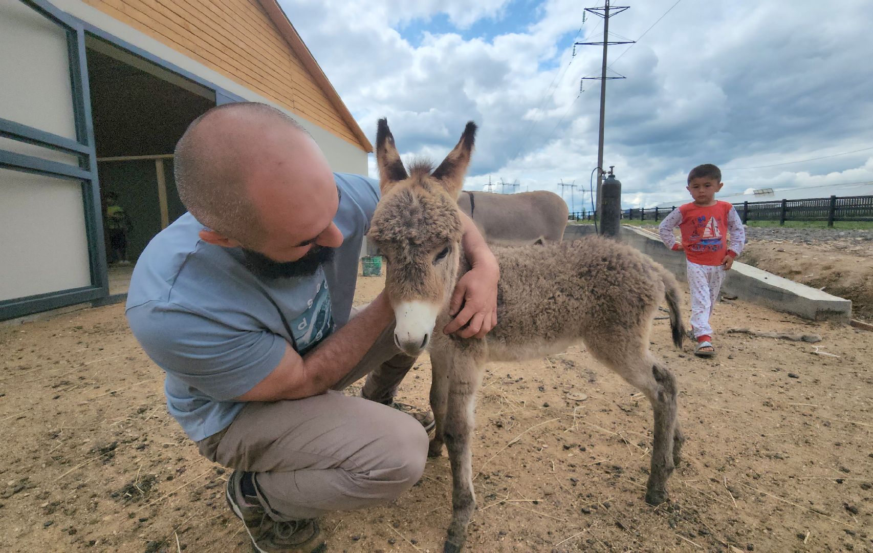 наро-фоминский городской округ, алексеевка, фермер, тахир джаппуев, агротуризм, семейные выходные,