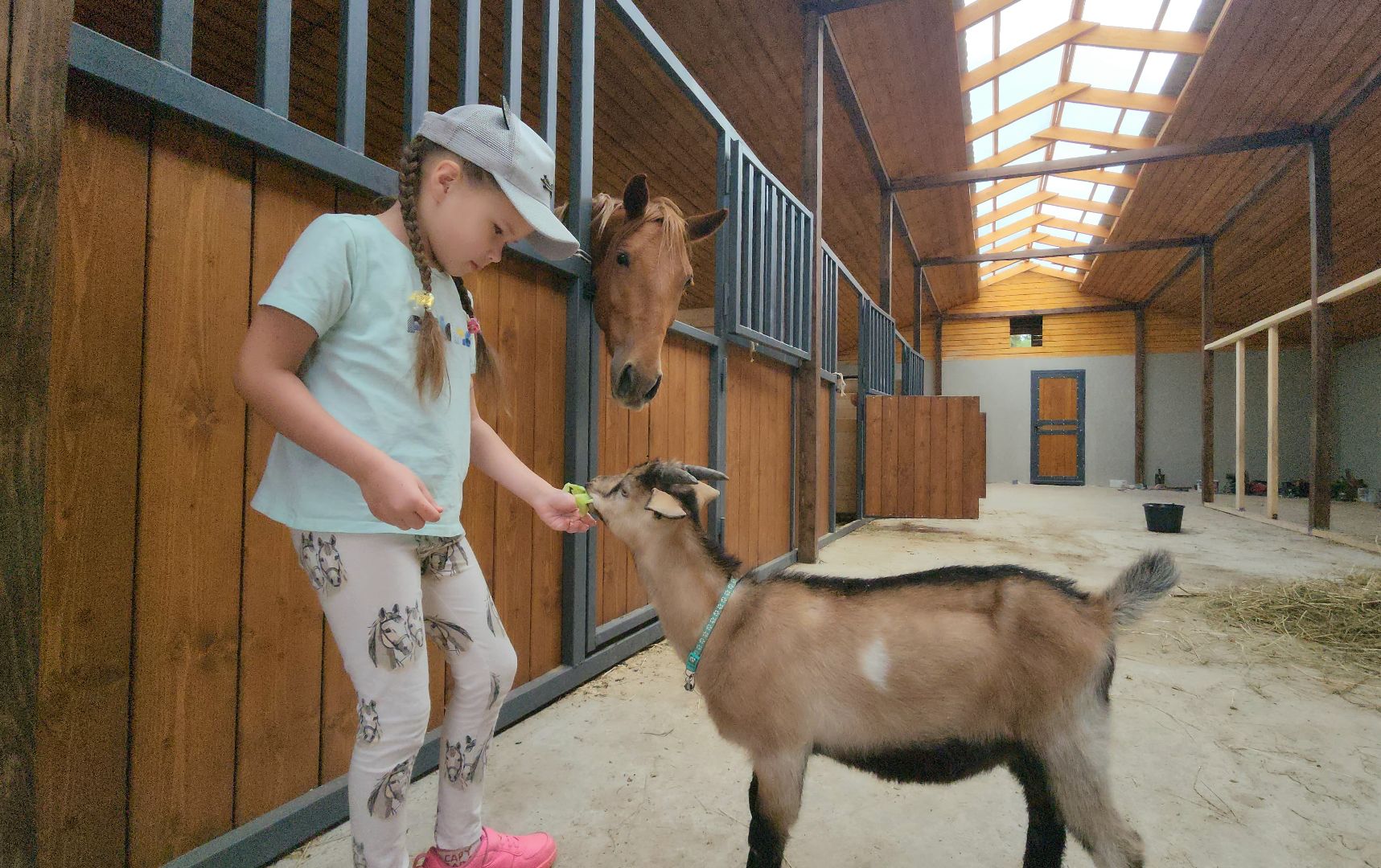 наро-фоминский городской округ, алексеевка, фермер, тахир джаппуев, агротуризм, семейные выходные,
